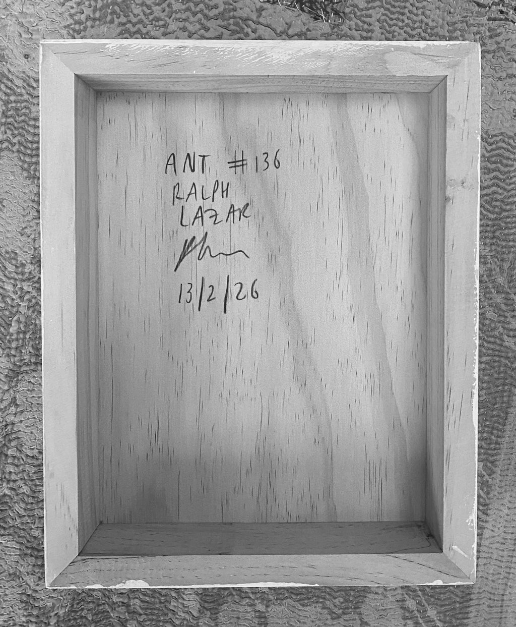 Ant #136