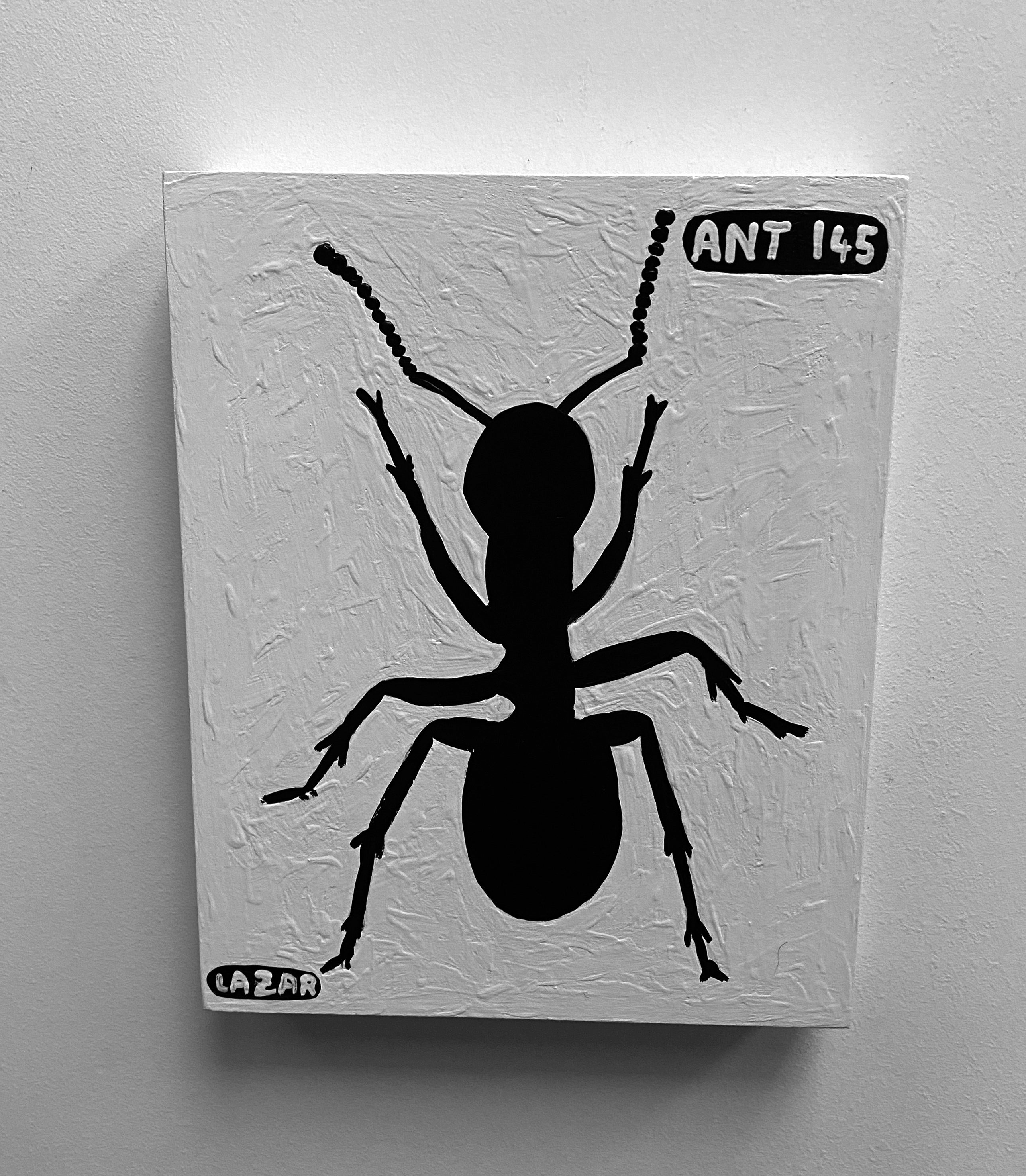 Ant #145