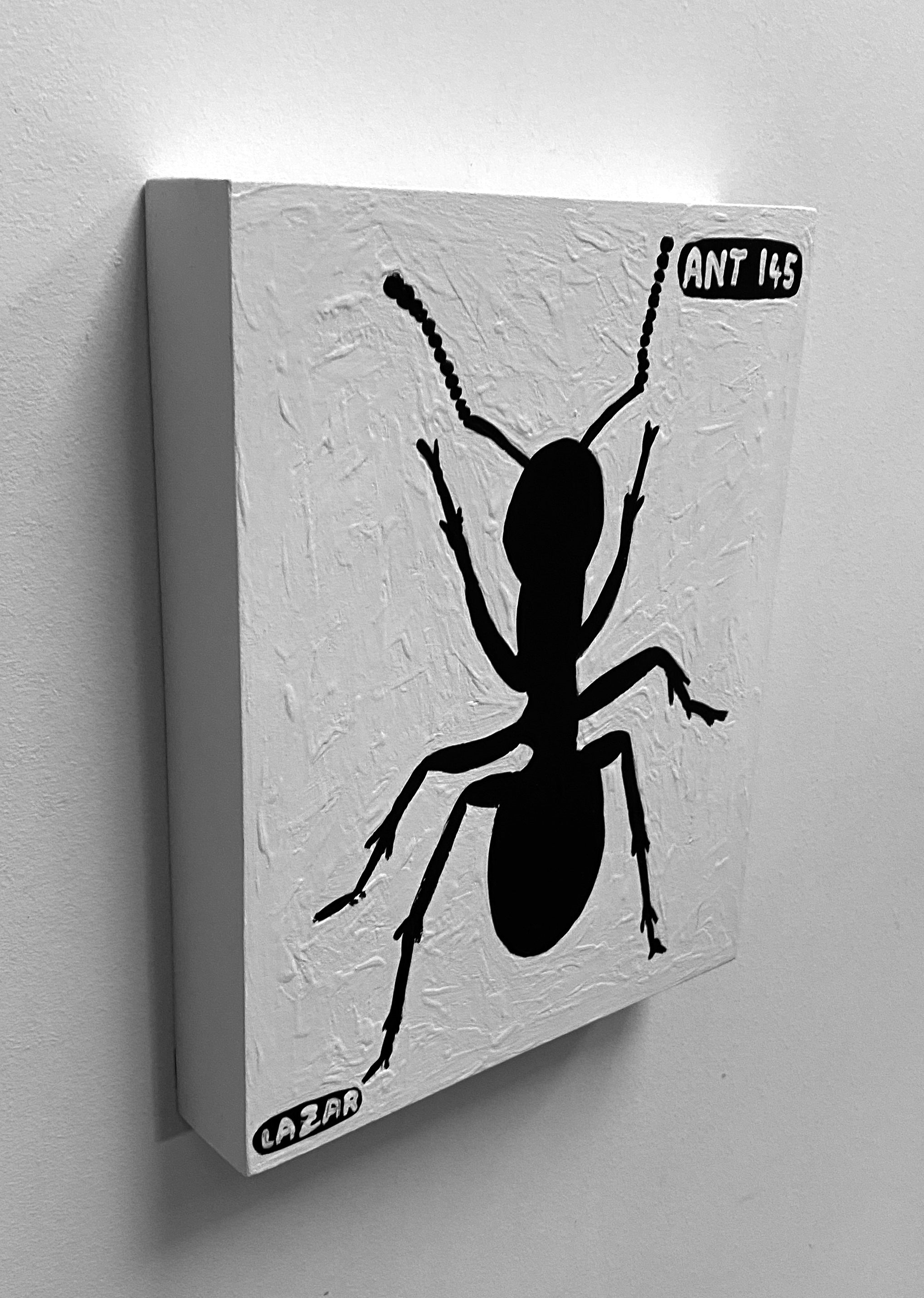 Ant #145