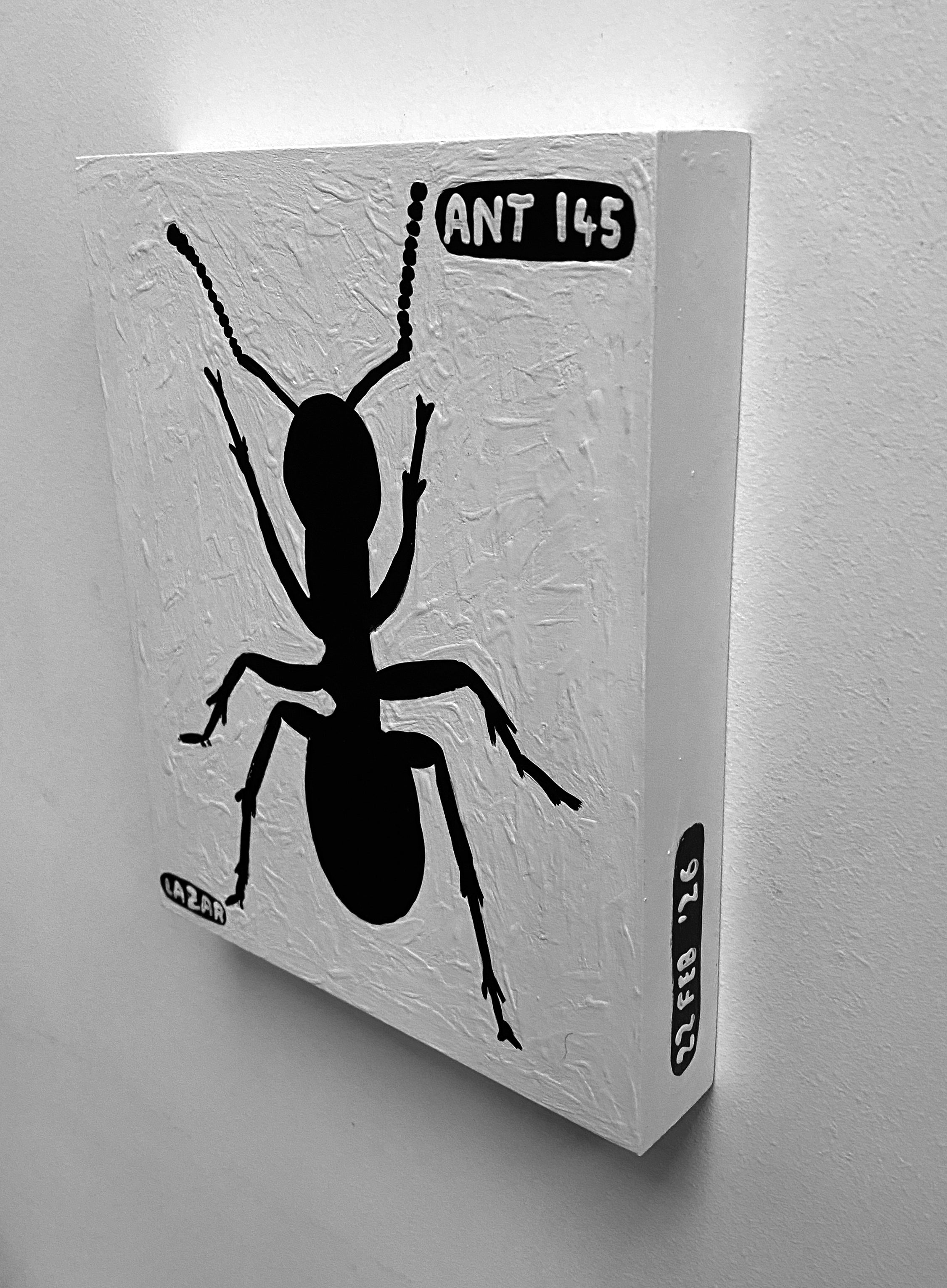 Ant #145