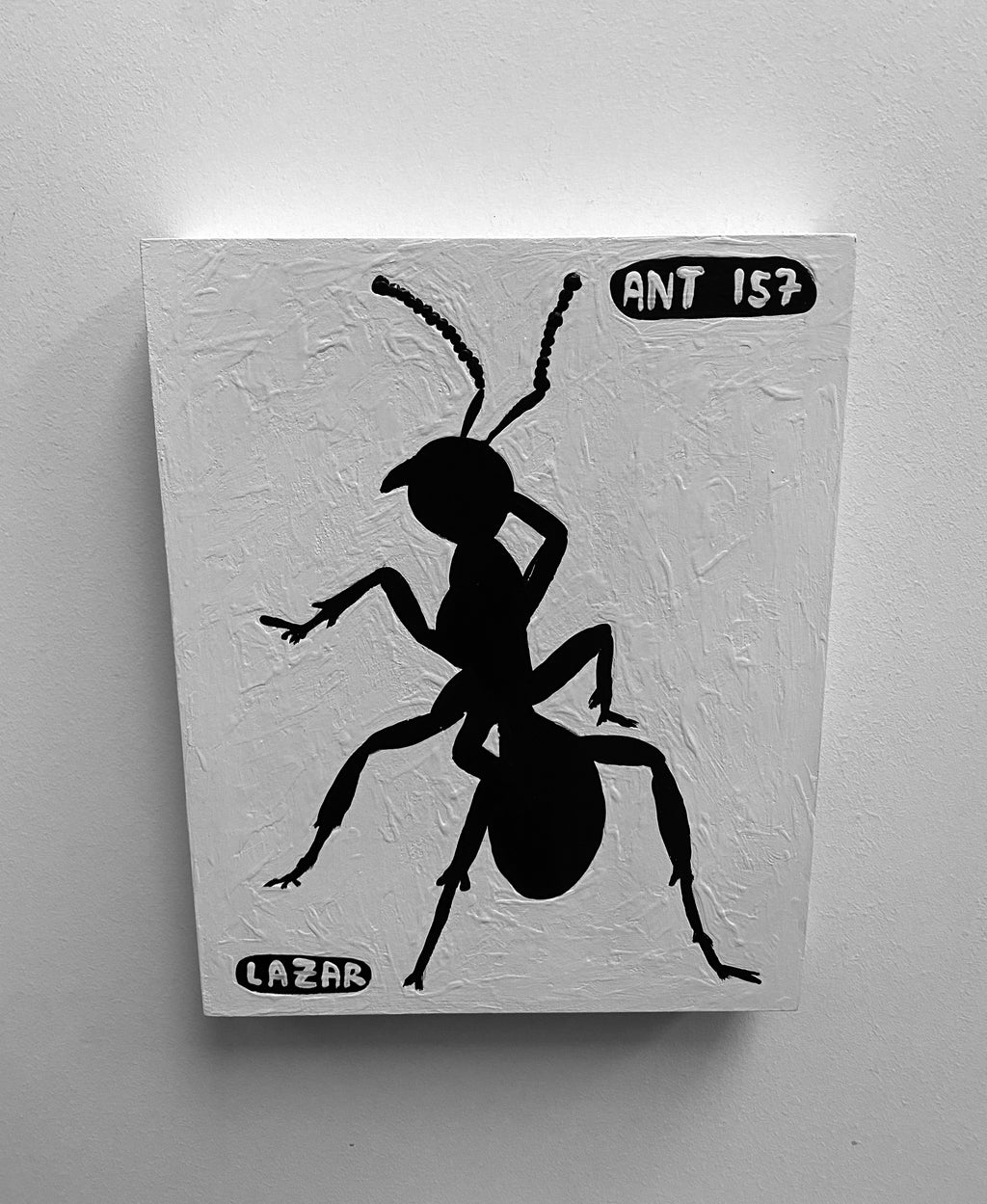 Ant #157