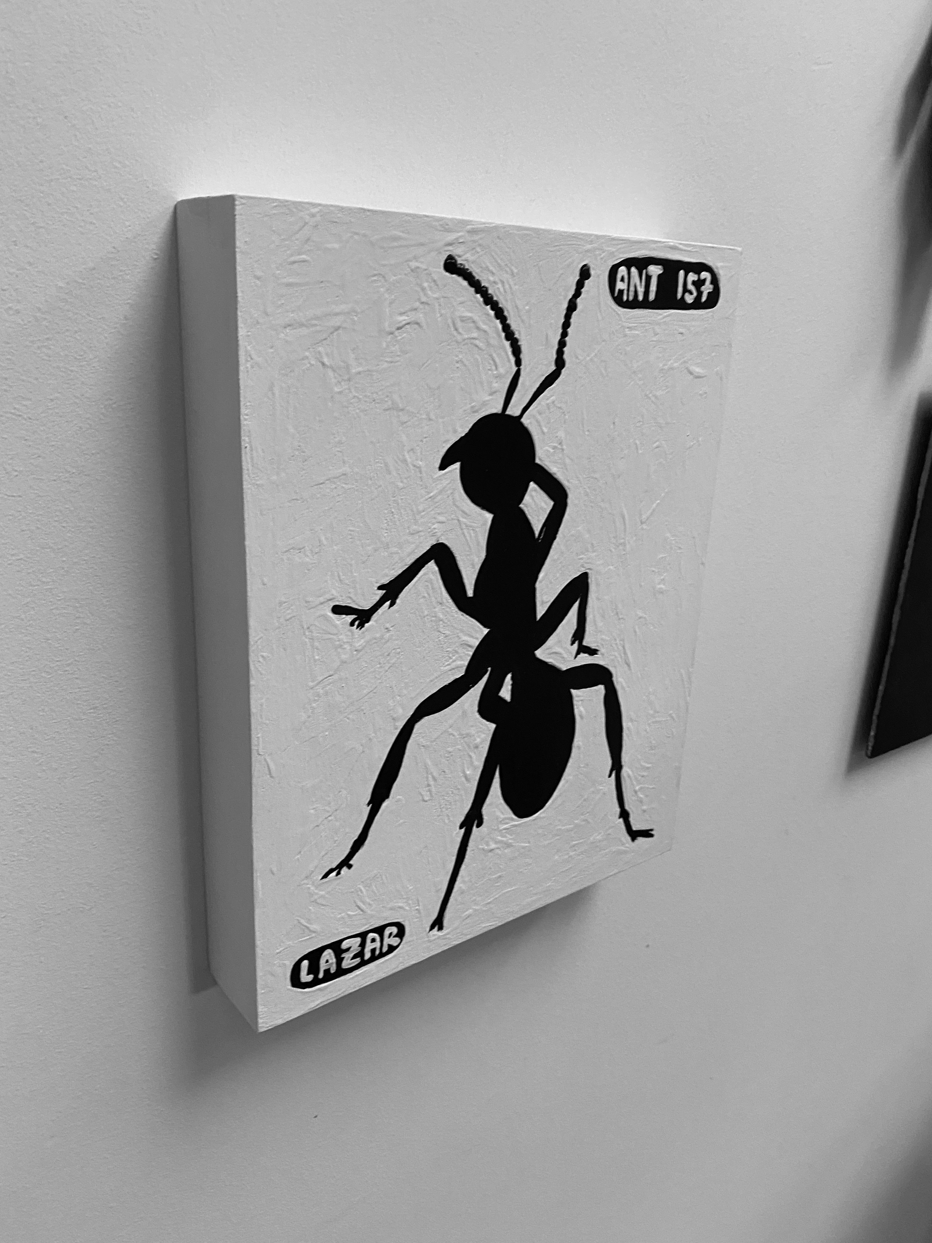 Ant #157