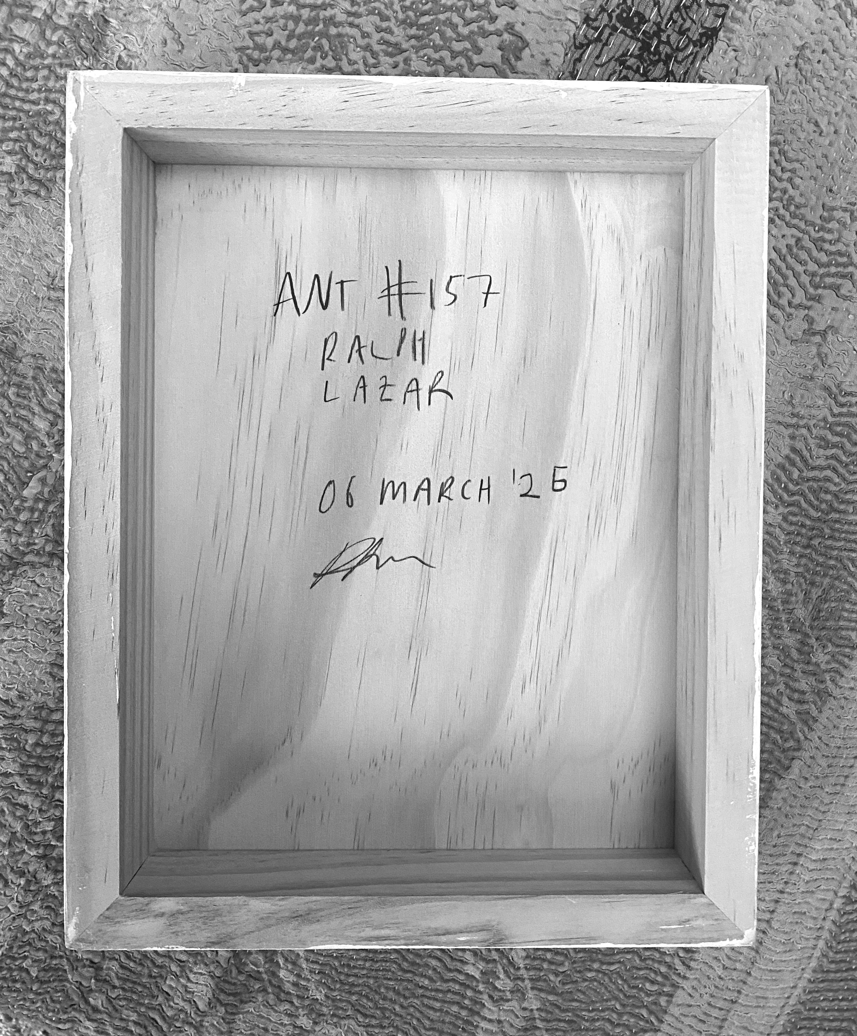 Ant #157