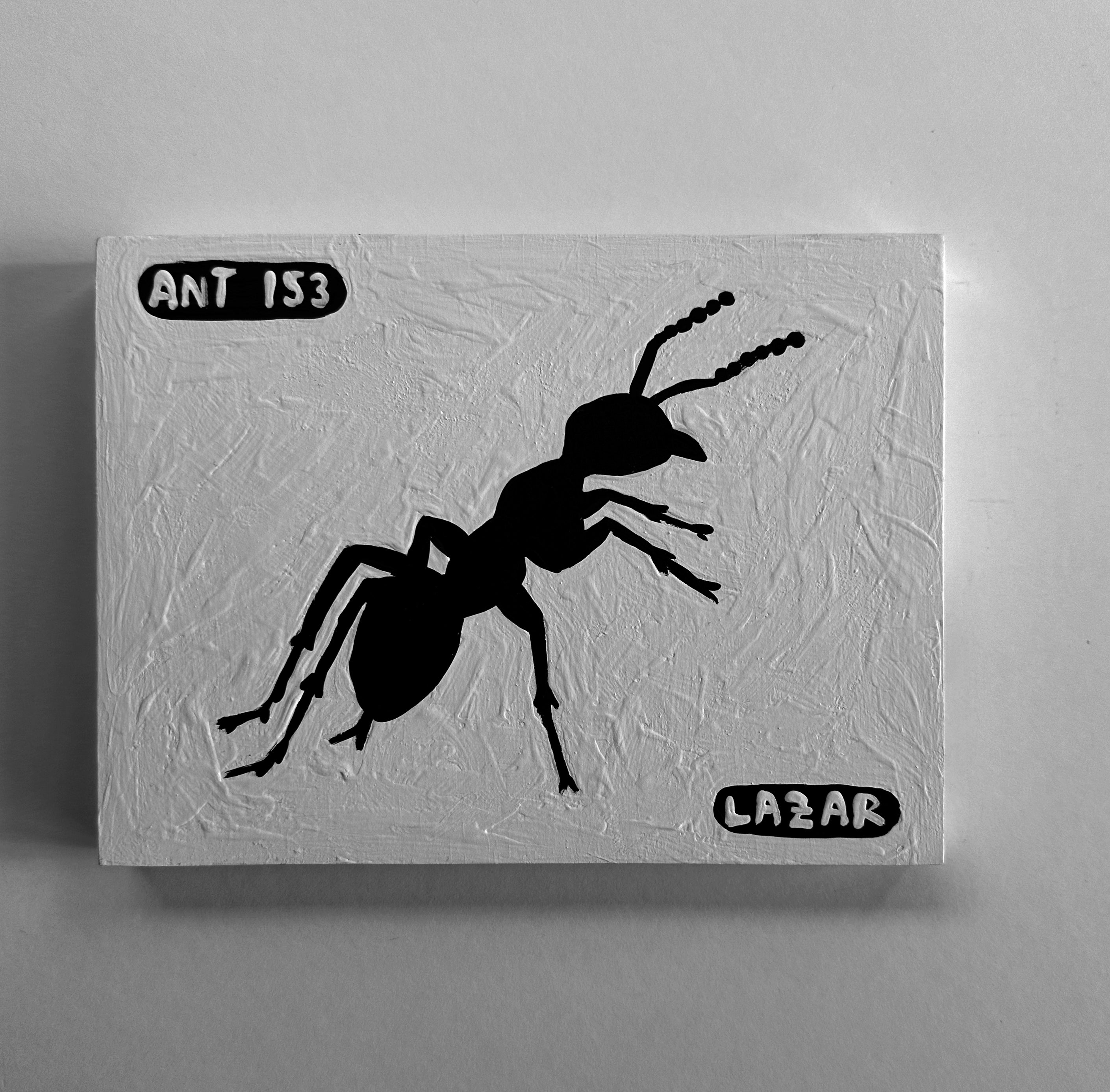 Ant #153