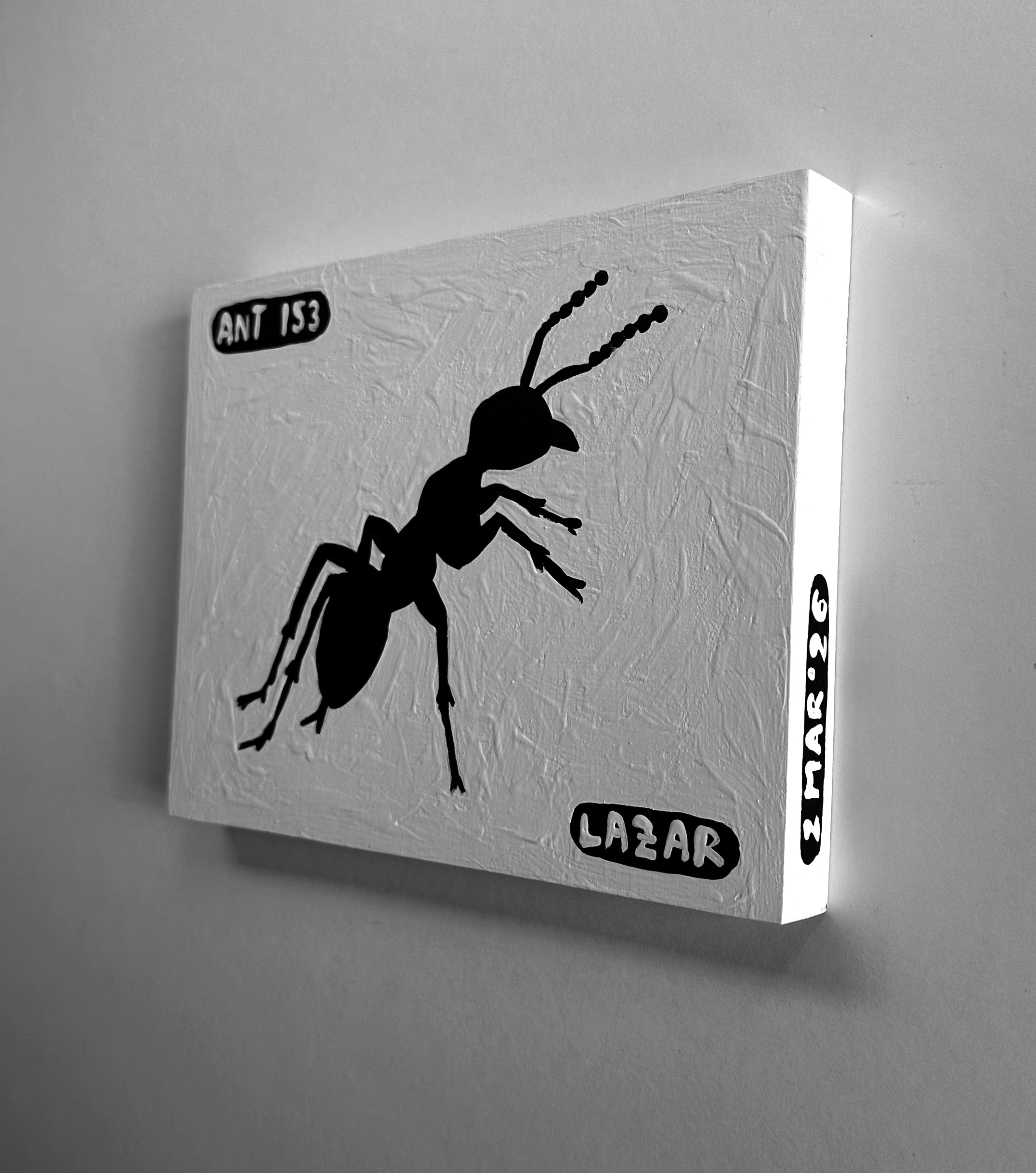 Ant #153