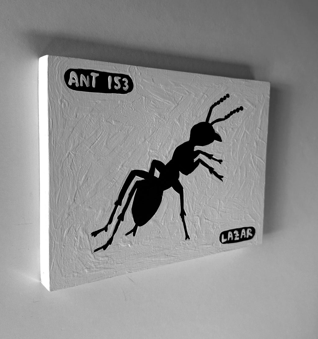Ant #153