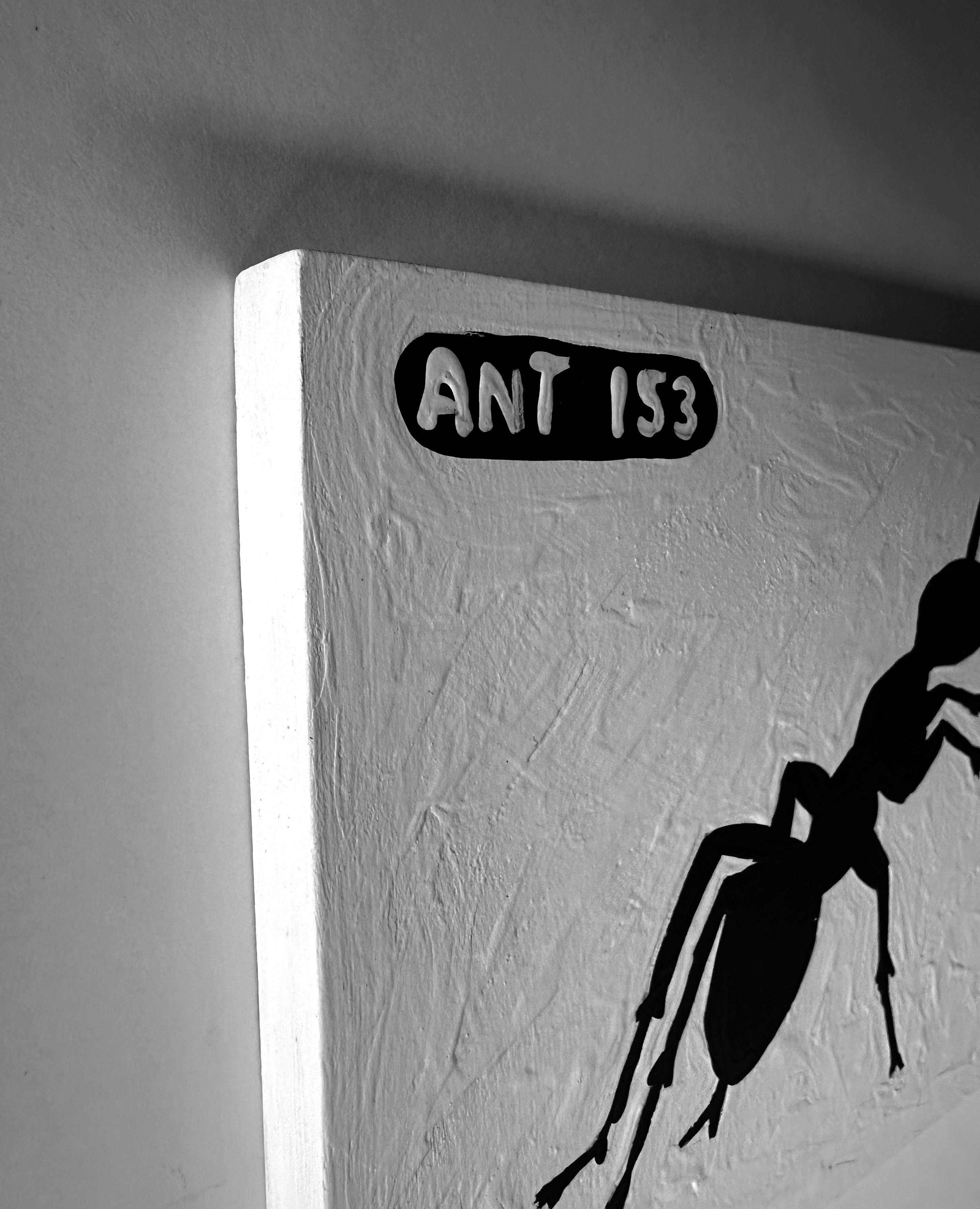Ant #153