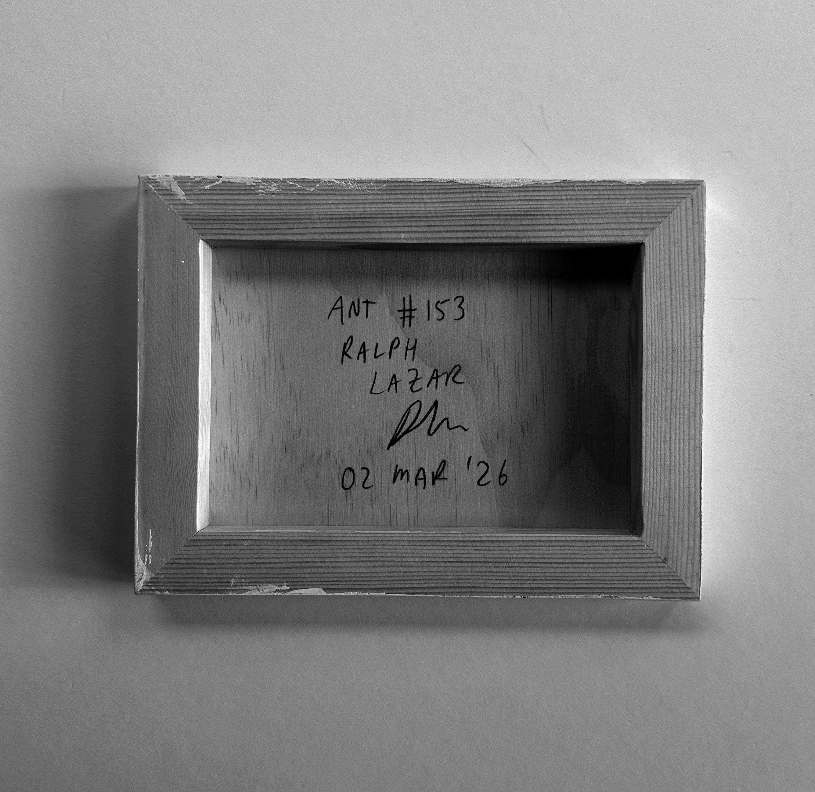 Ant #153