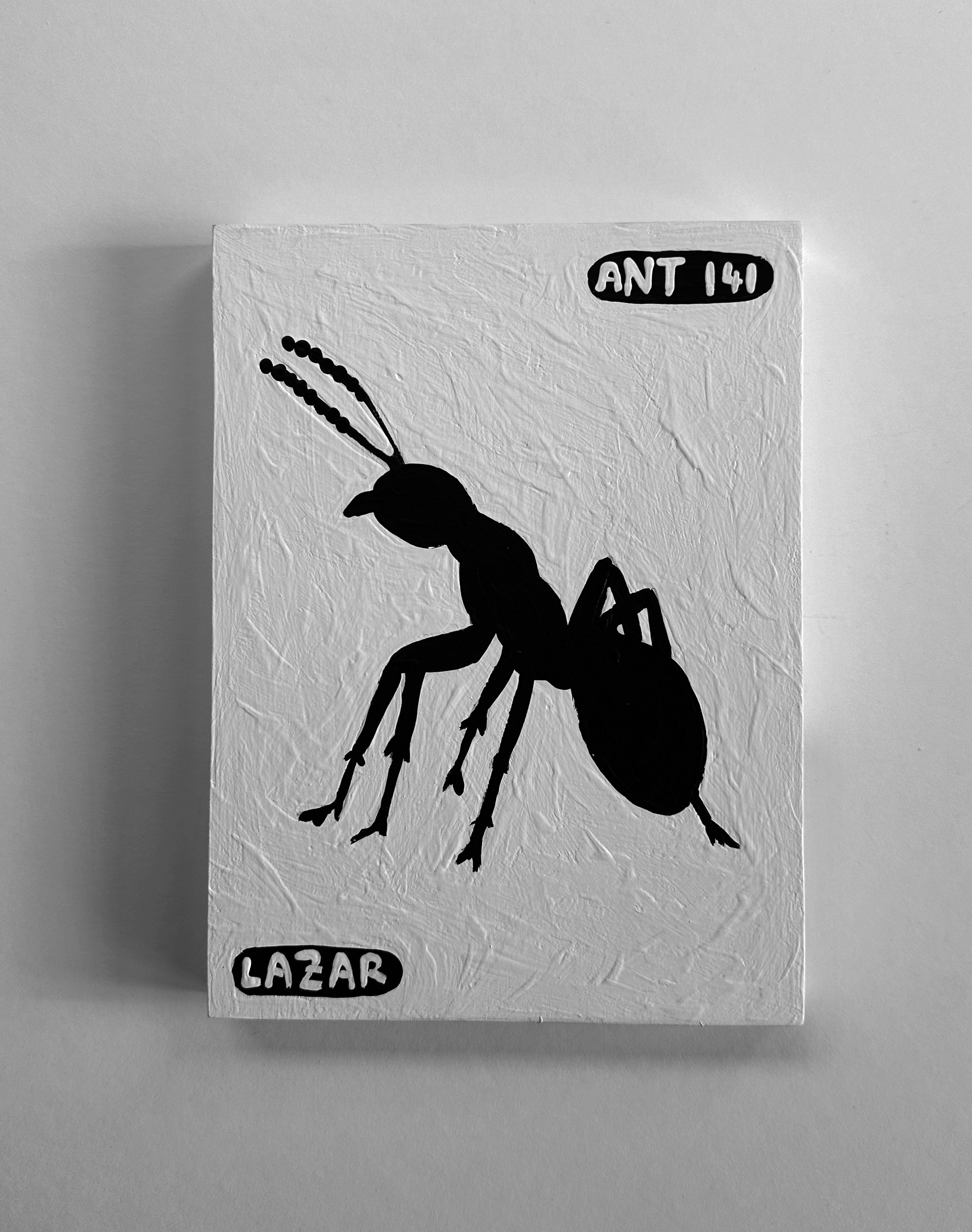 Ant #141