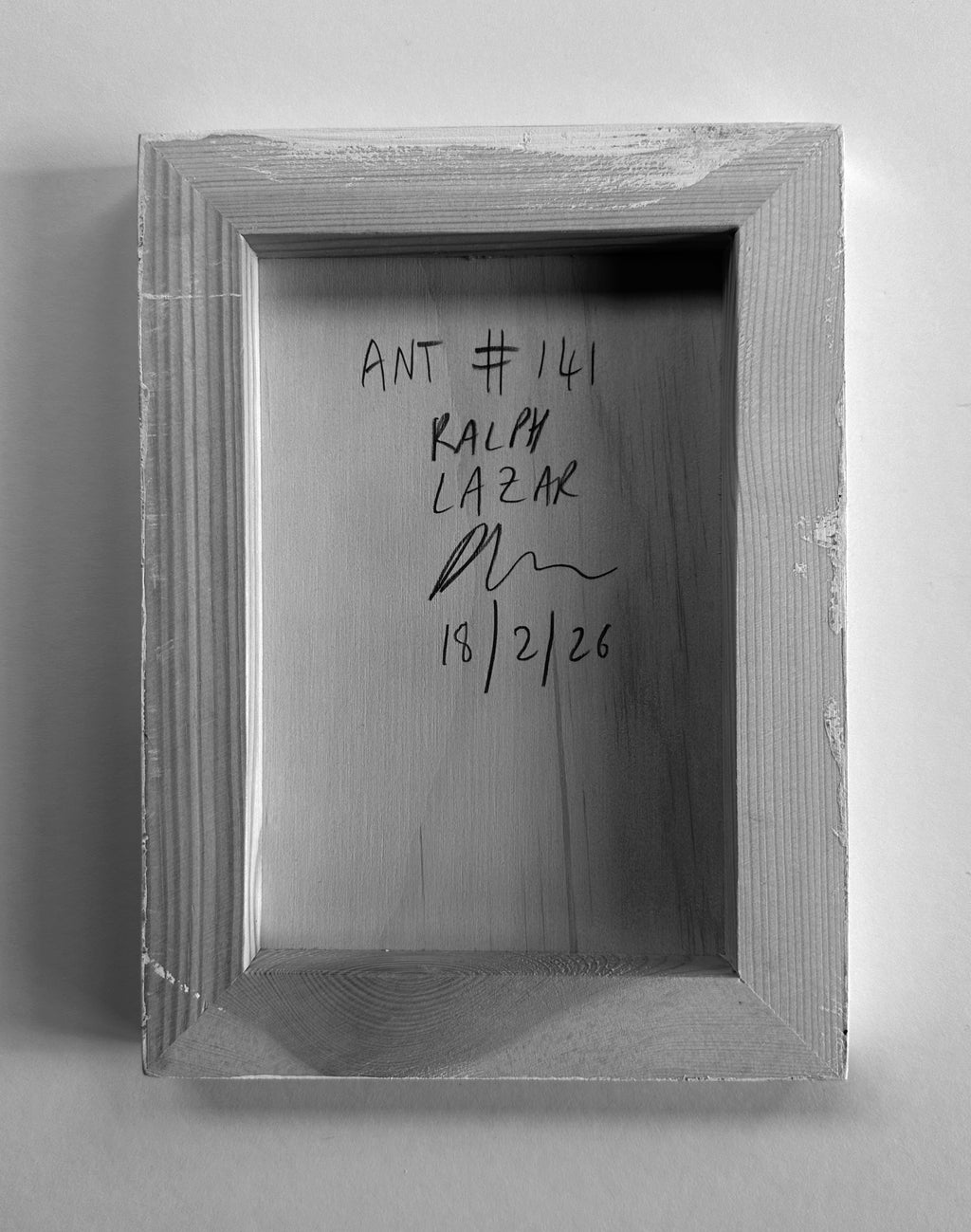 Ant #141