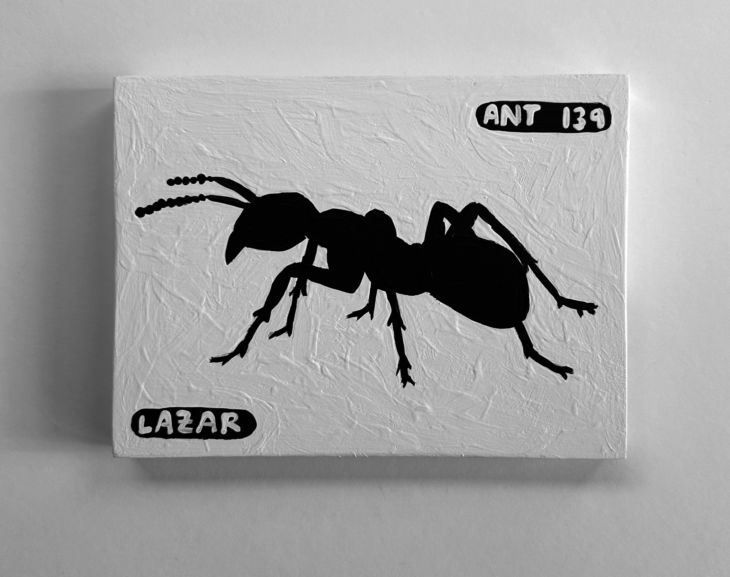 Ant #139