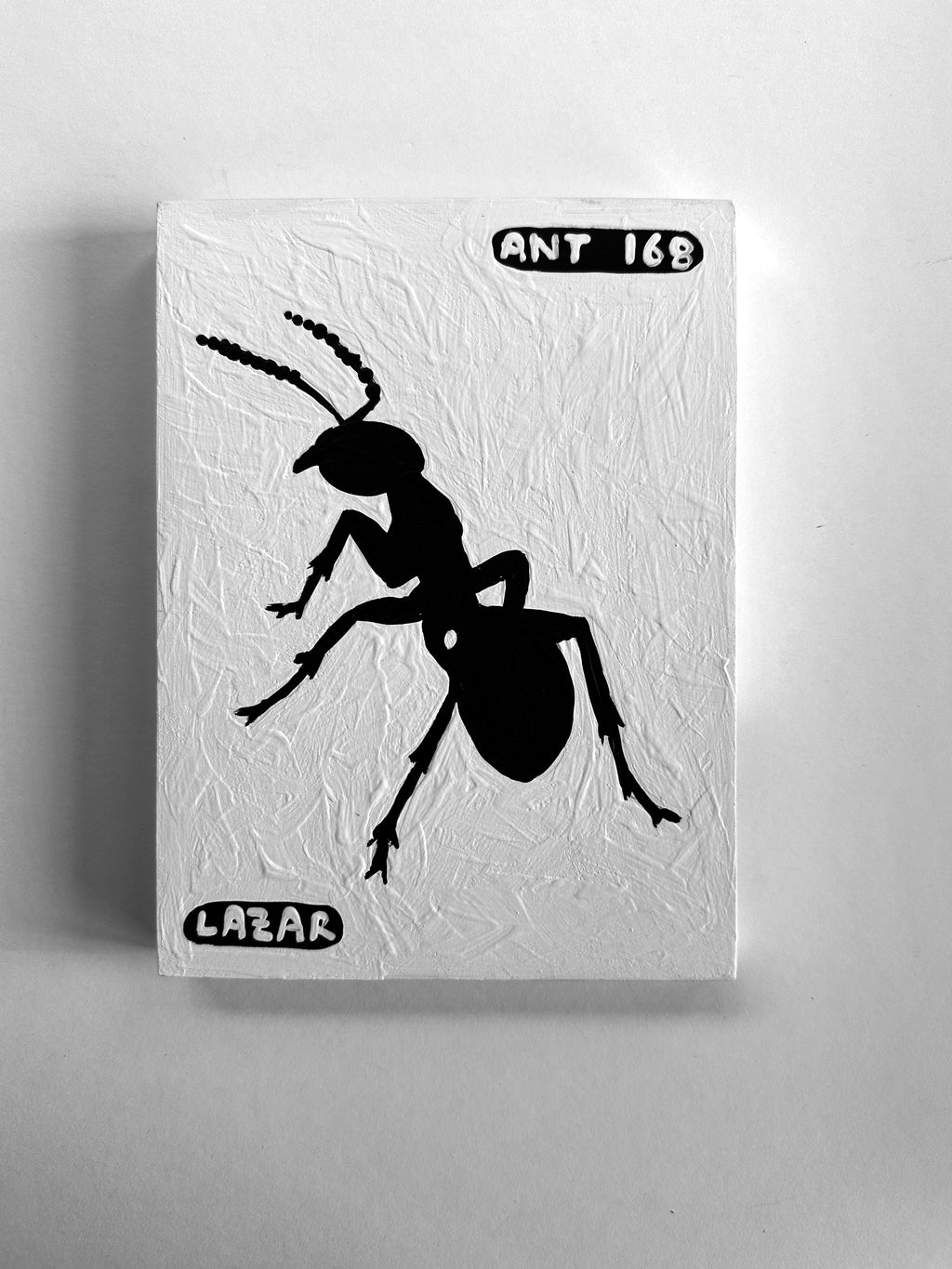 Ant #168