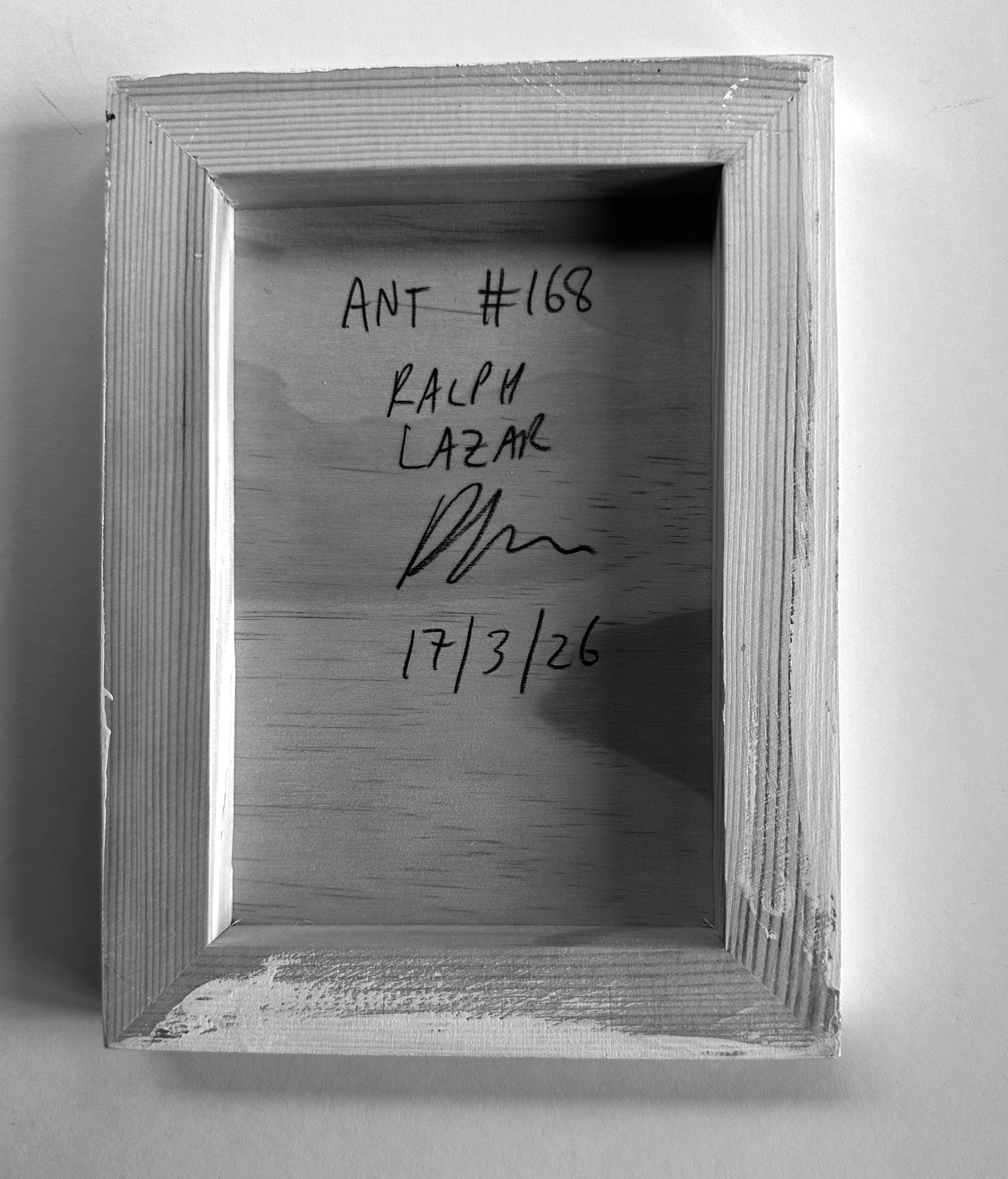 Ant #168