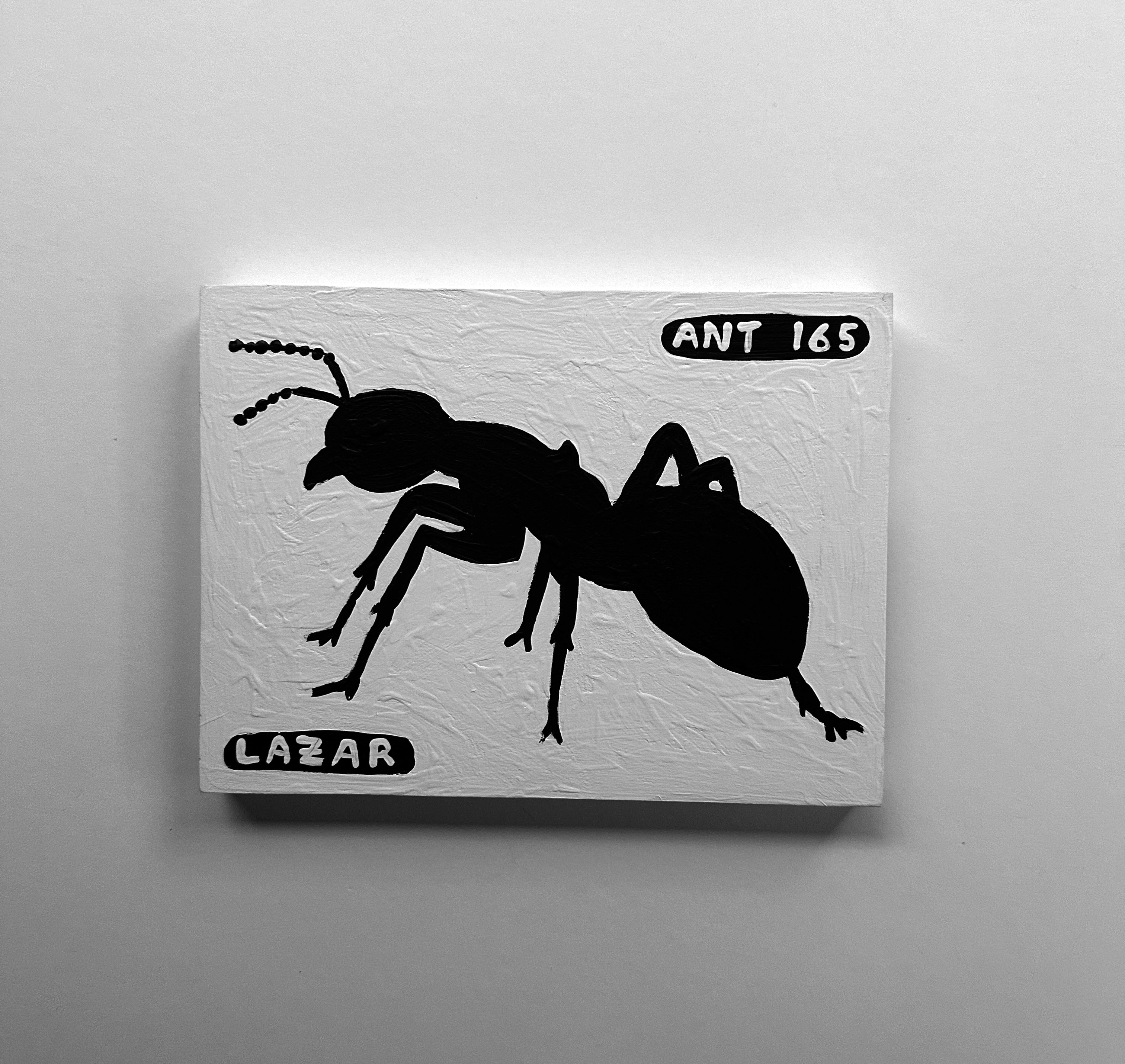Ant #165