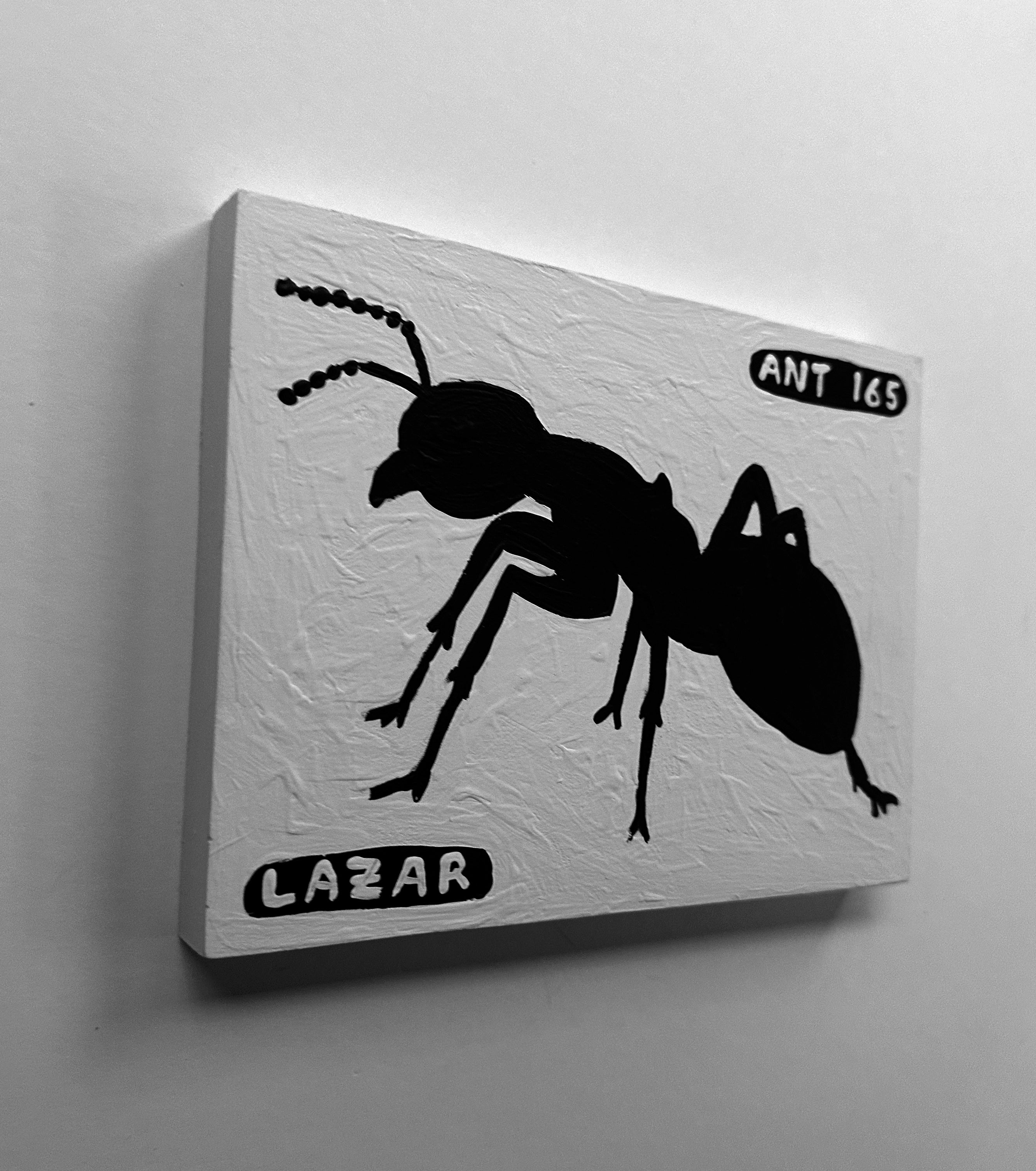Ant #165