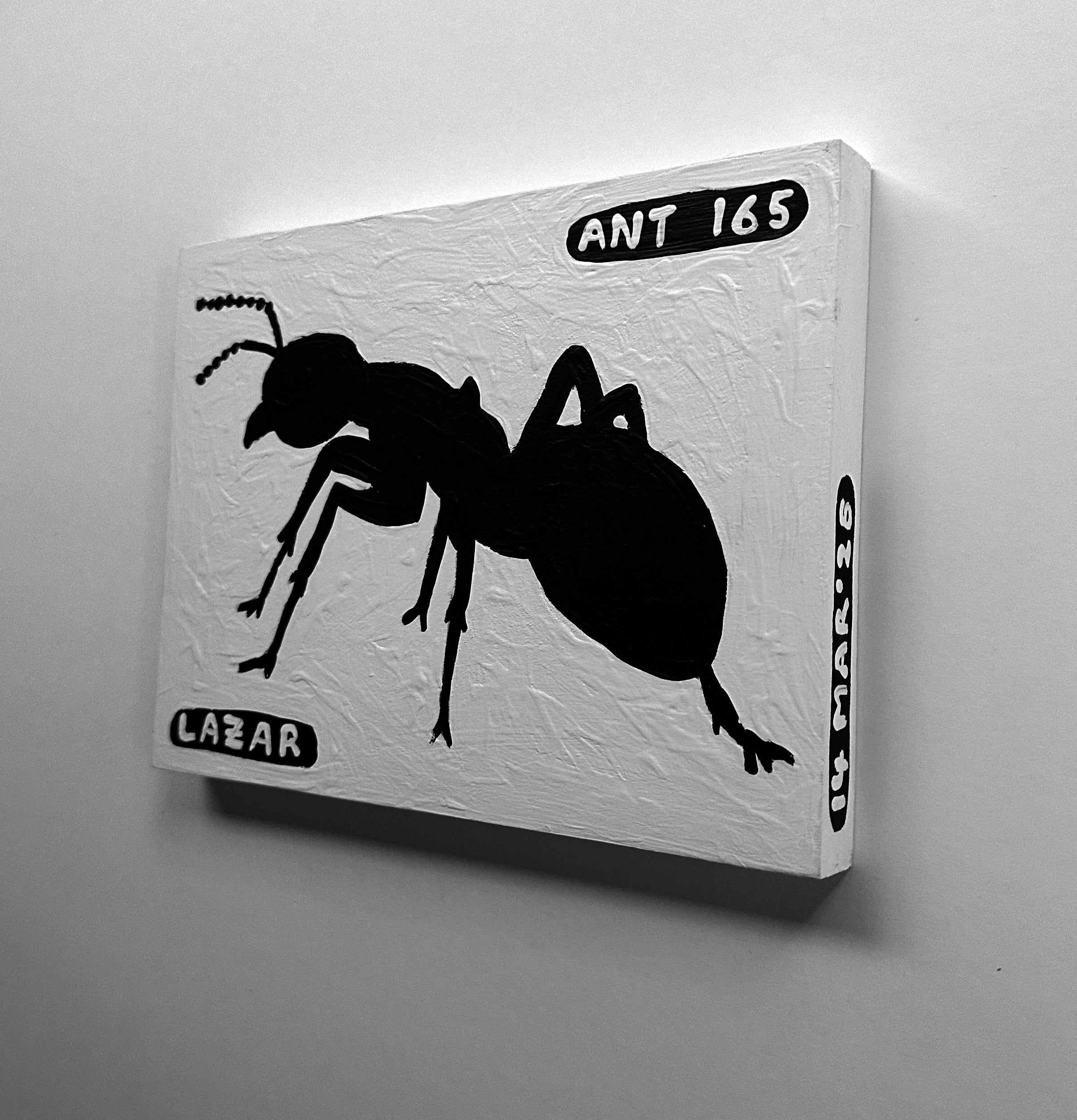 Ant #165