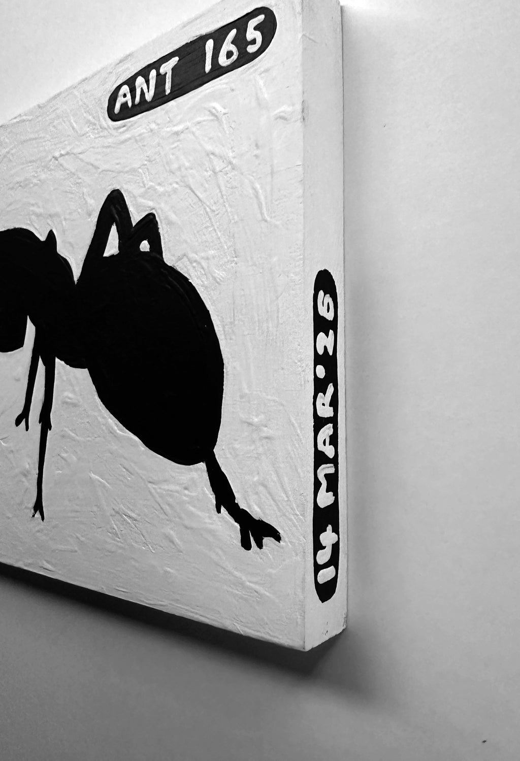 Ant #165