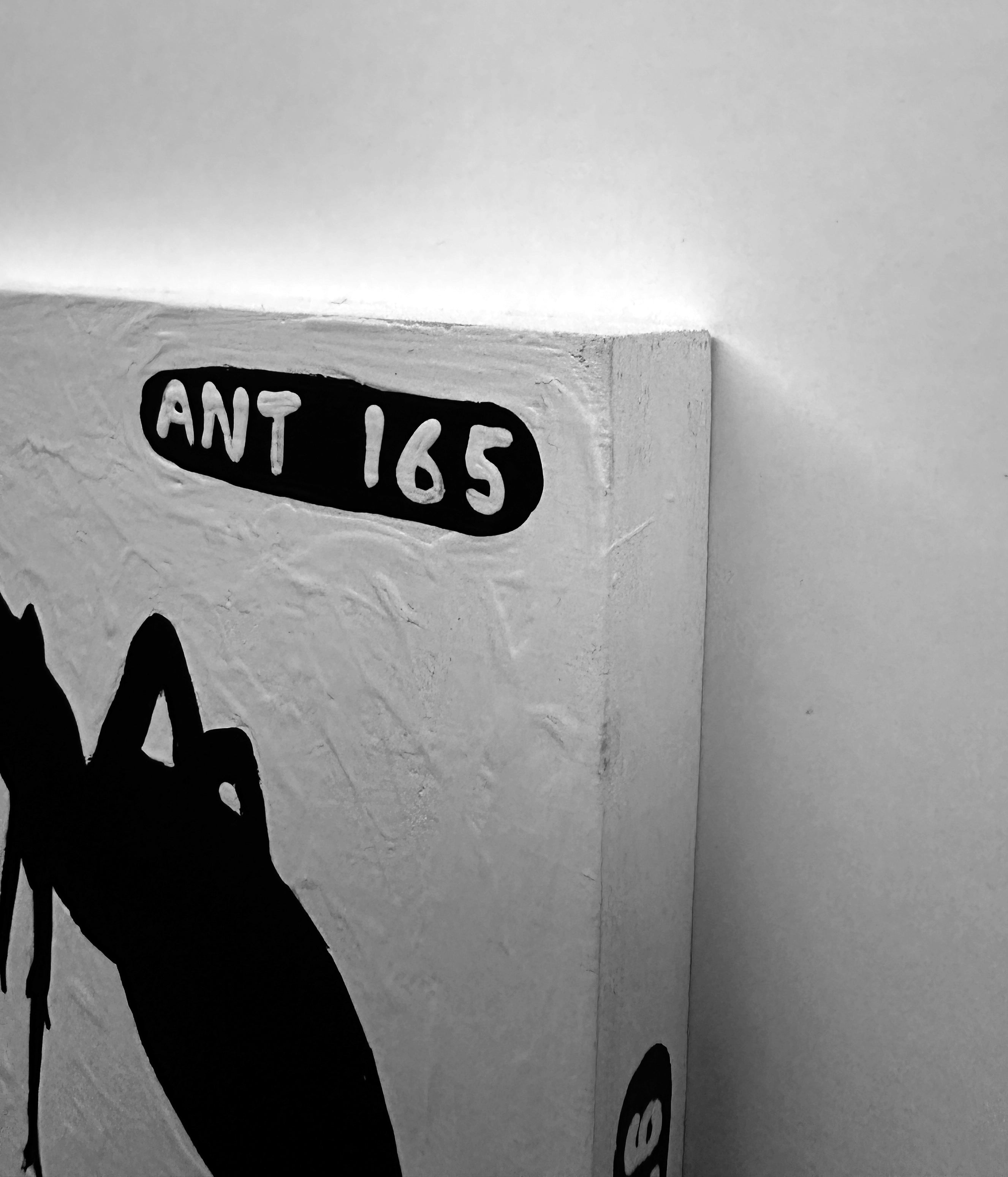 Ant #165