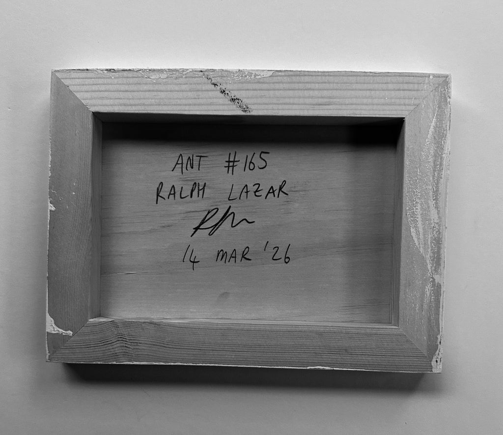 Ant #165