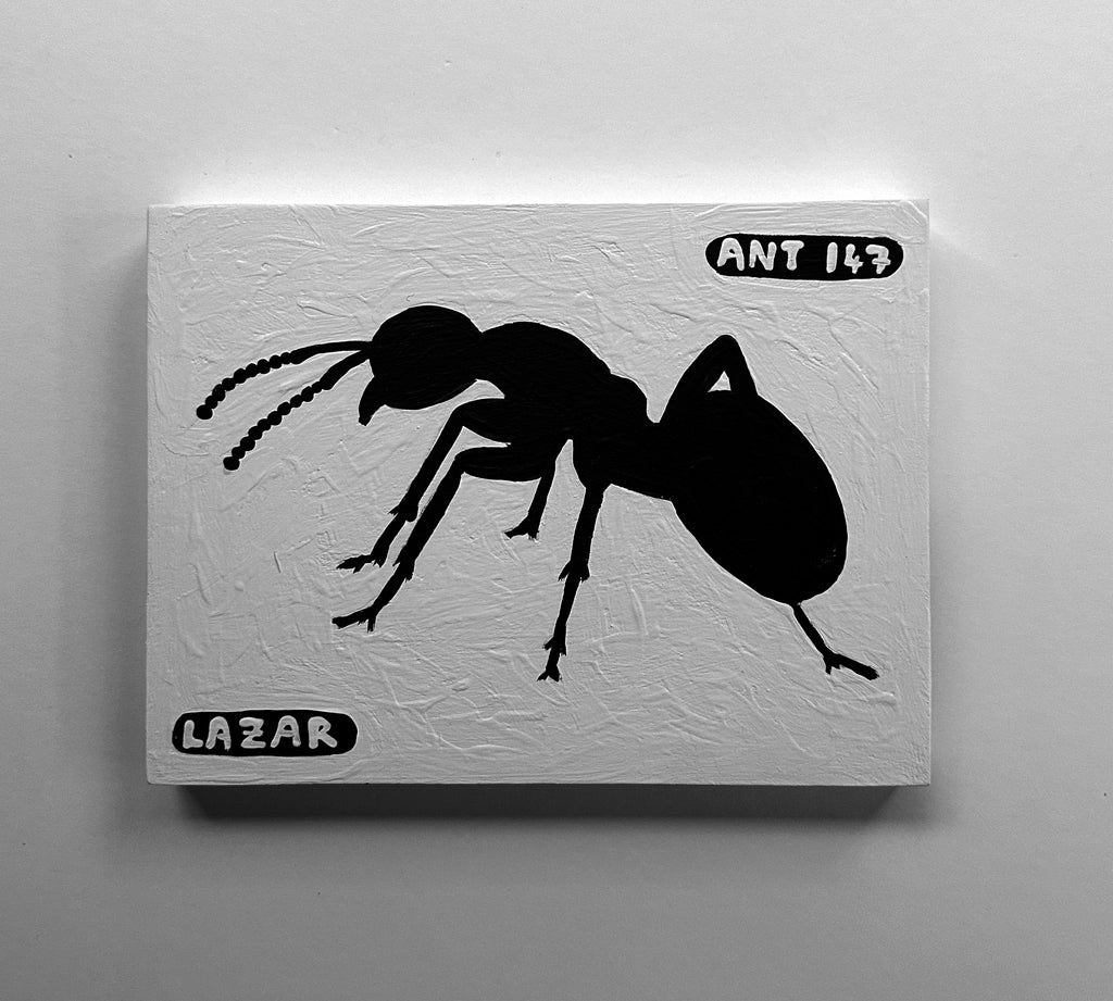 Ant #147
