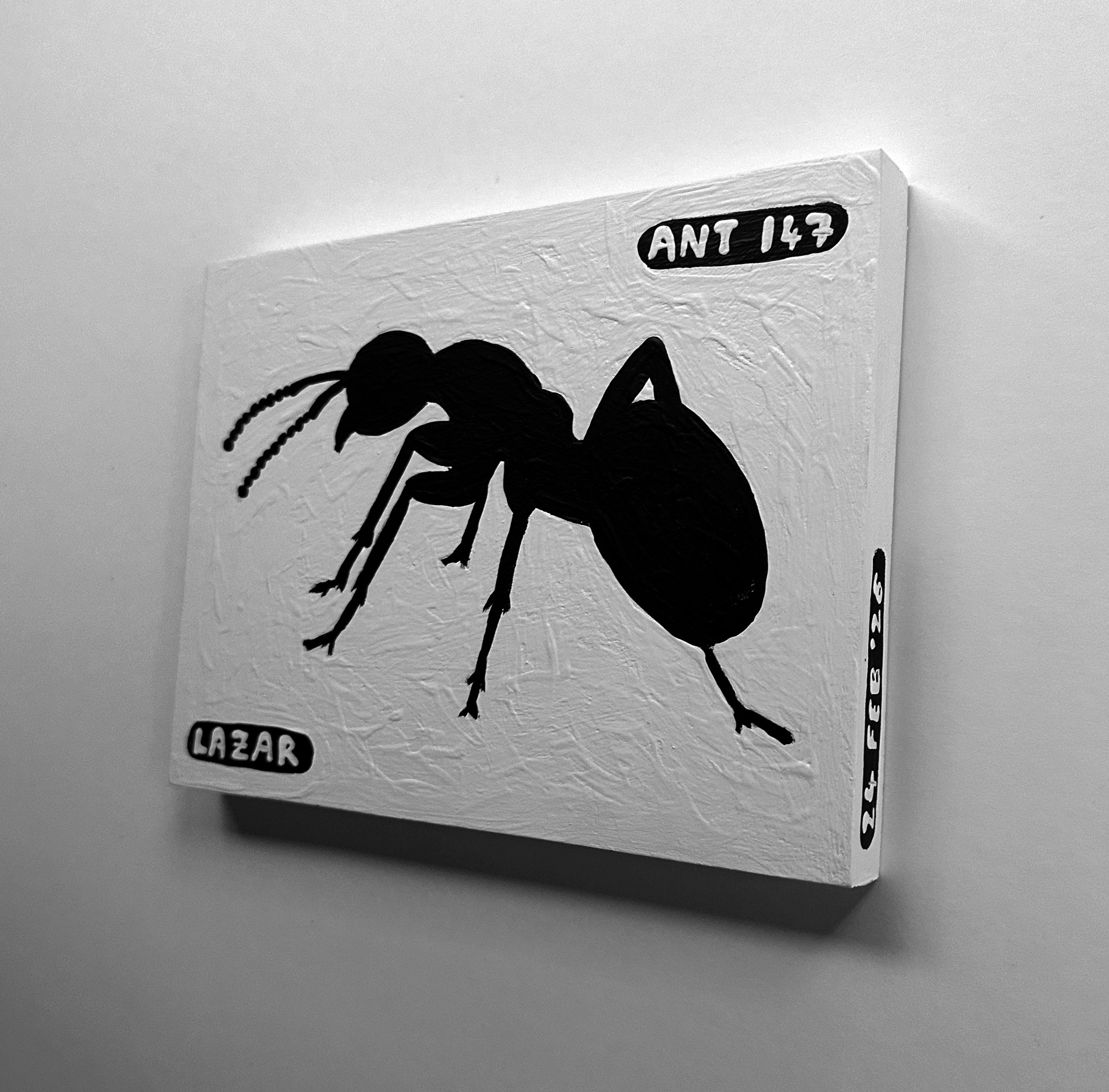 Ant #147