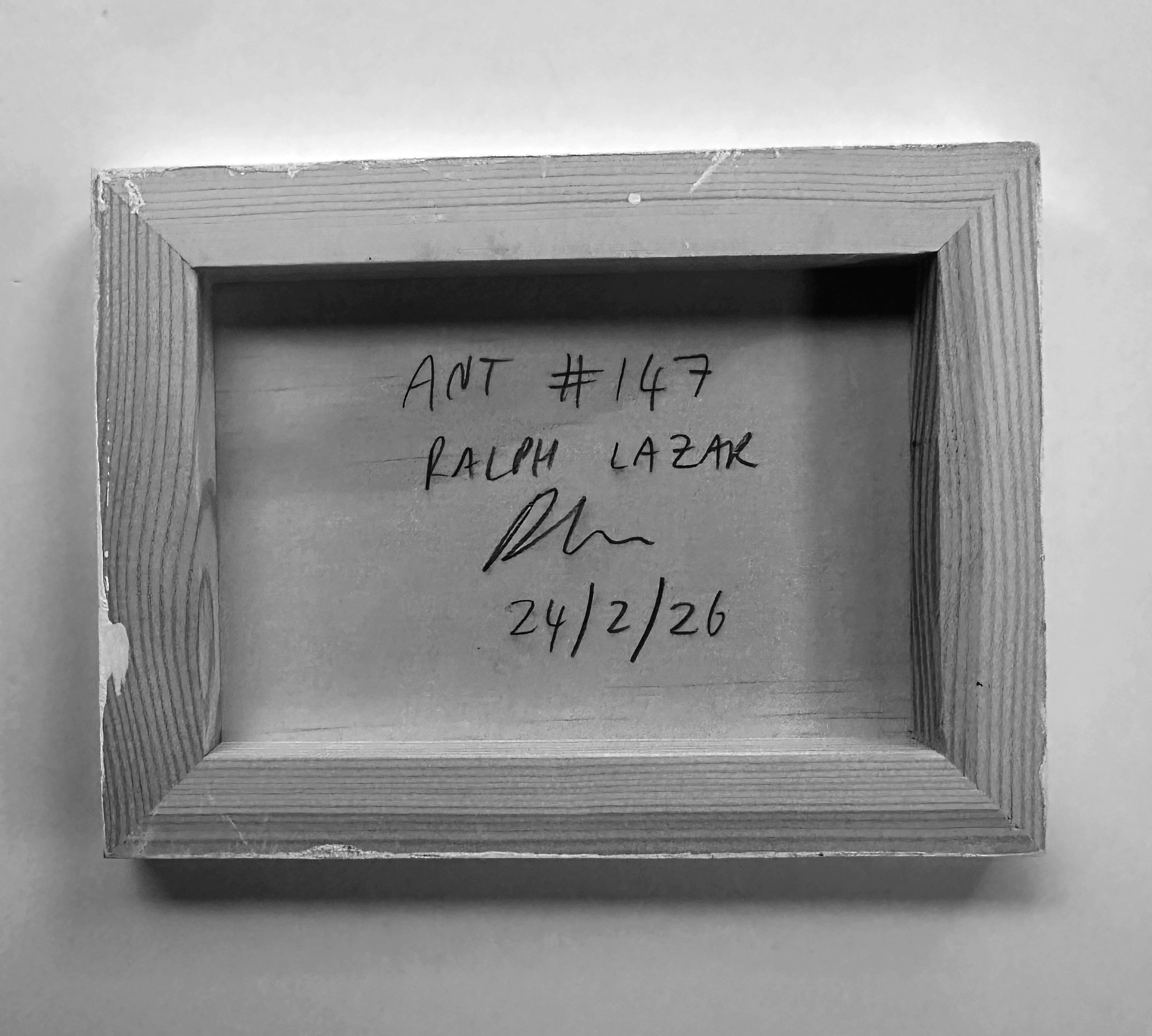 Ant #147