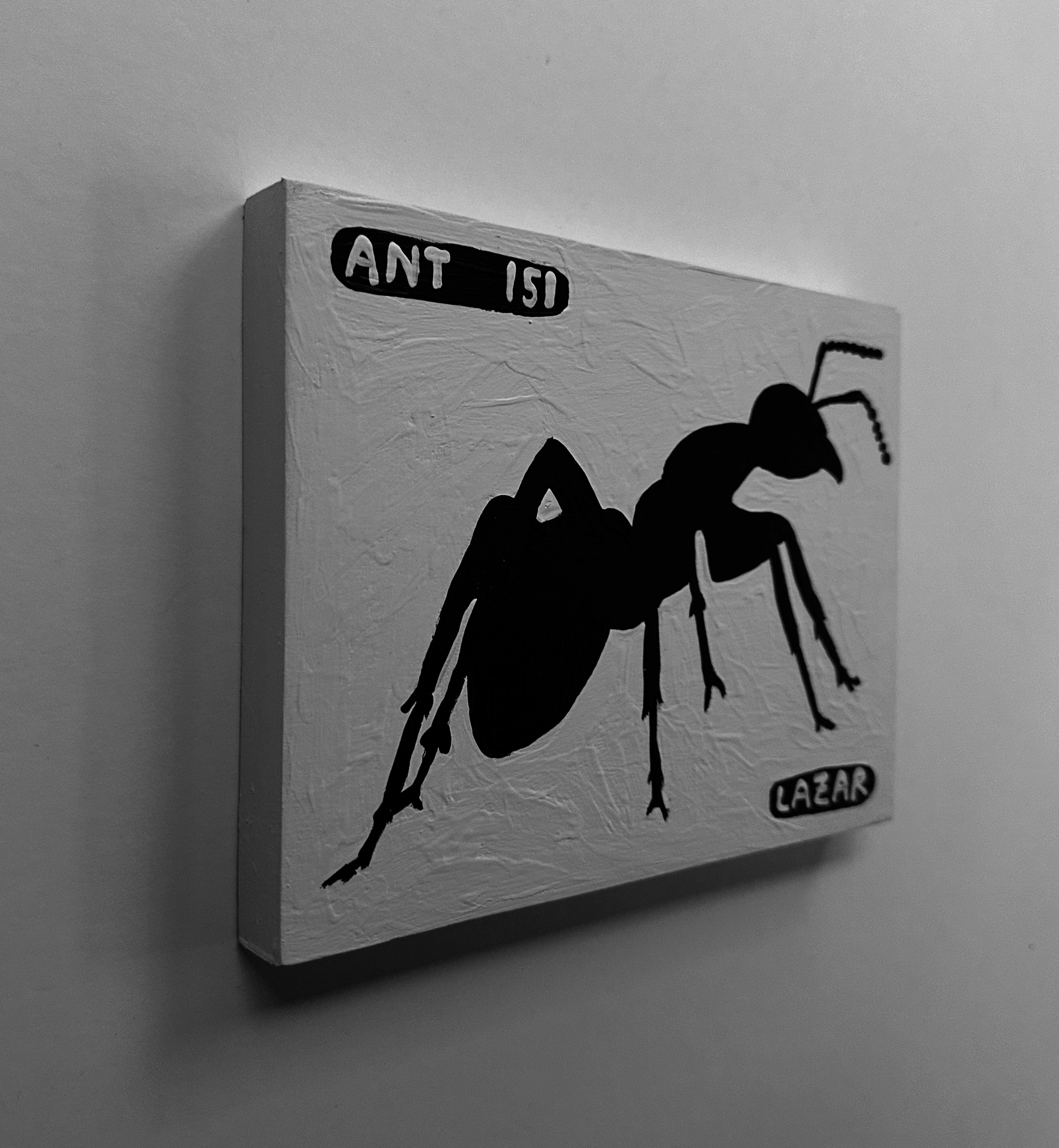Ant #151