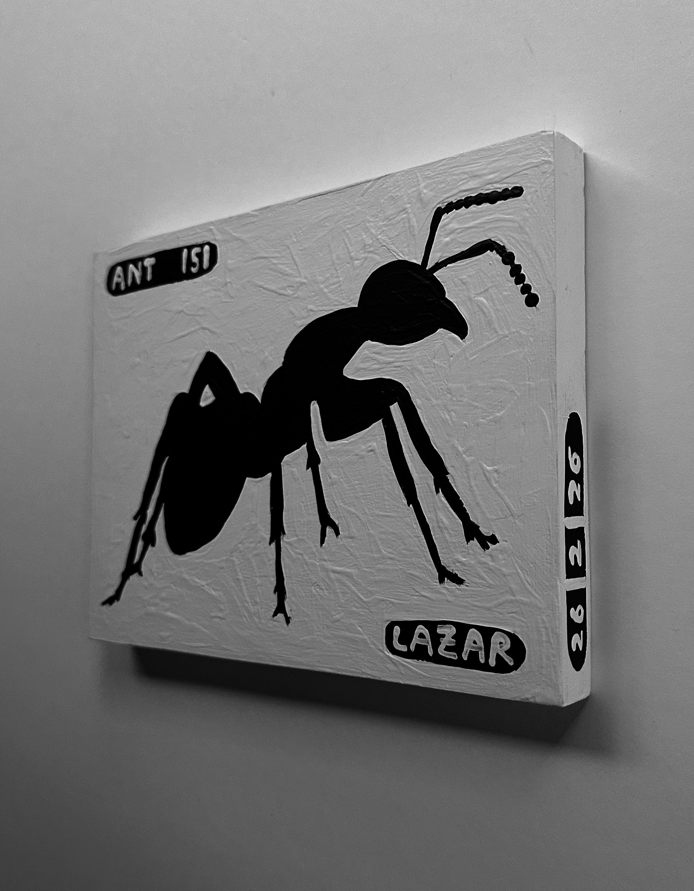 Ant #151