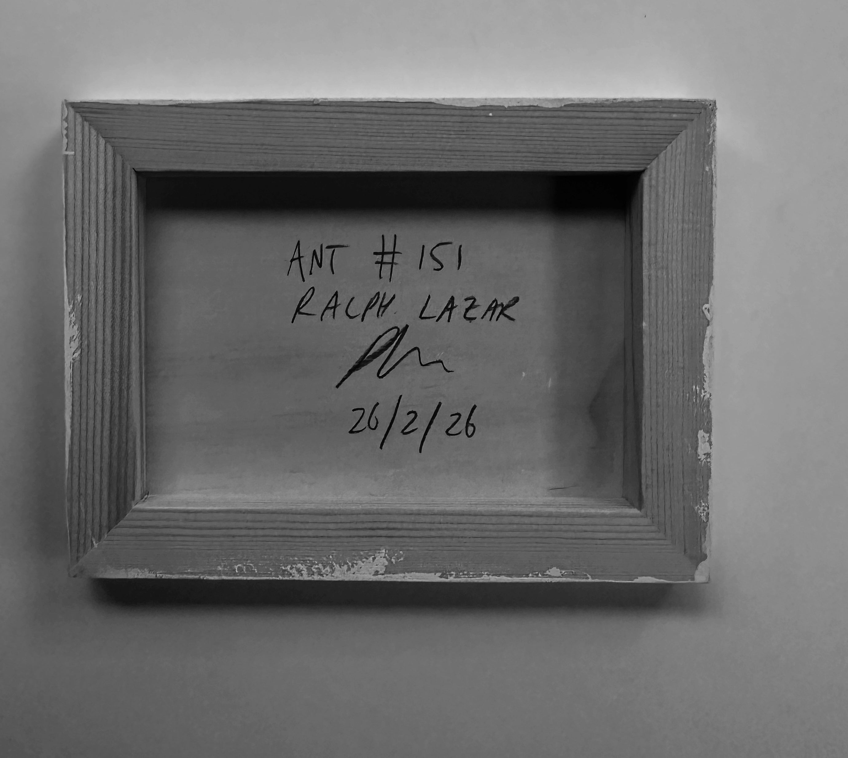 Ant #151