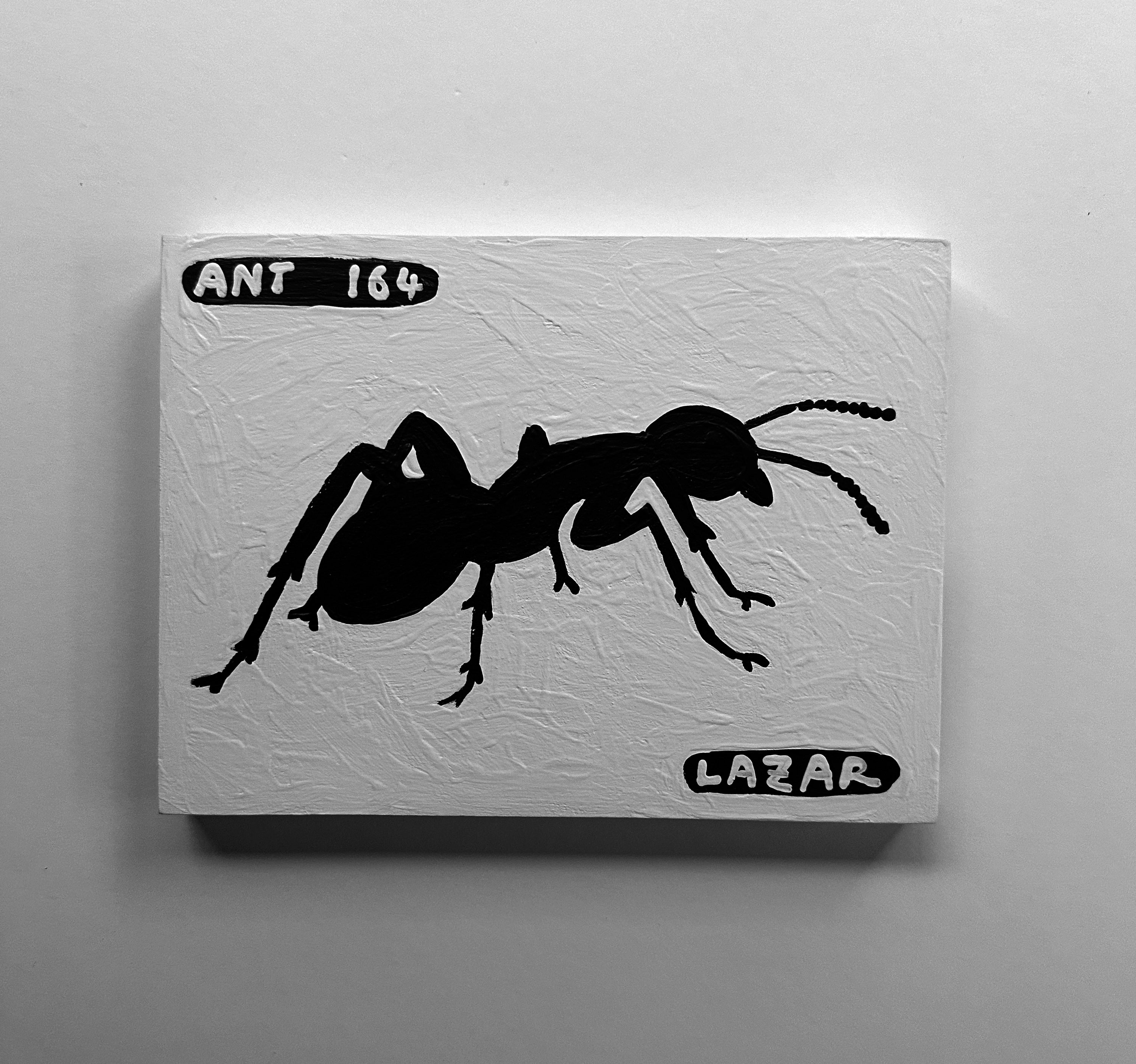 Ant #164