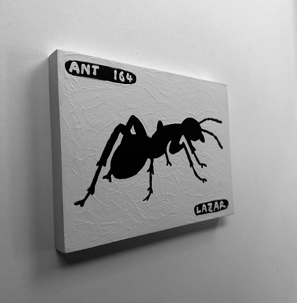 Ant #164