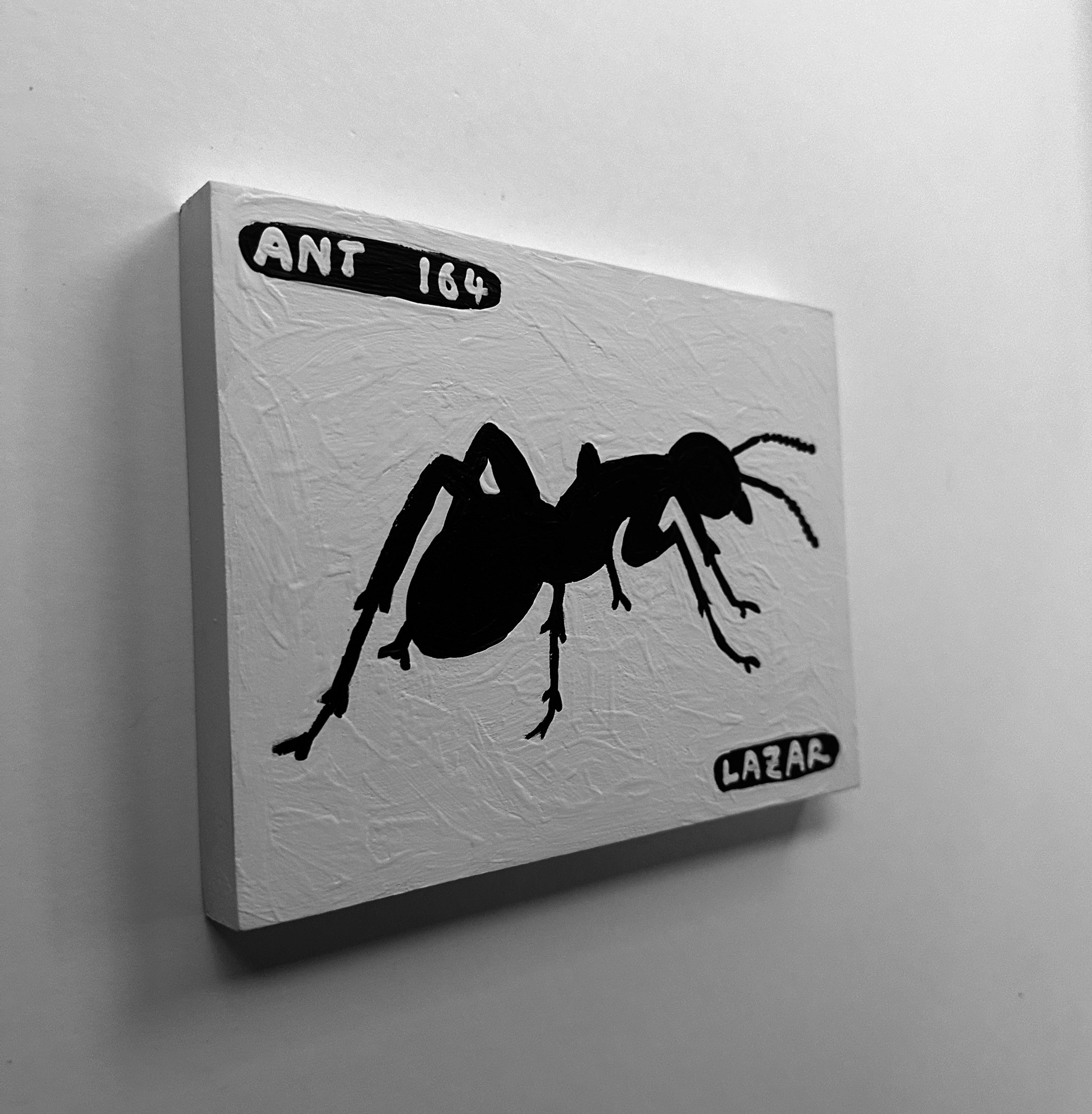 Ant #164