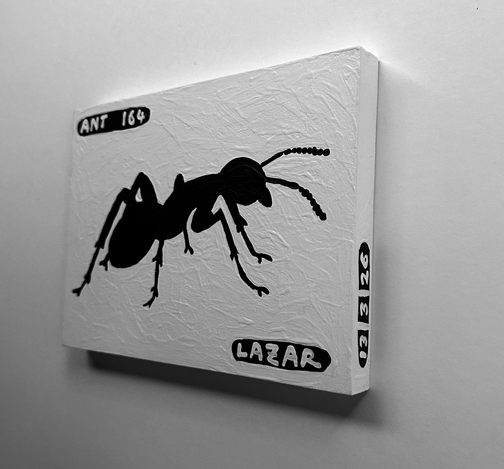 Ant #164