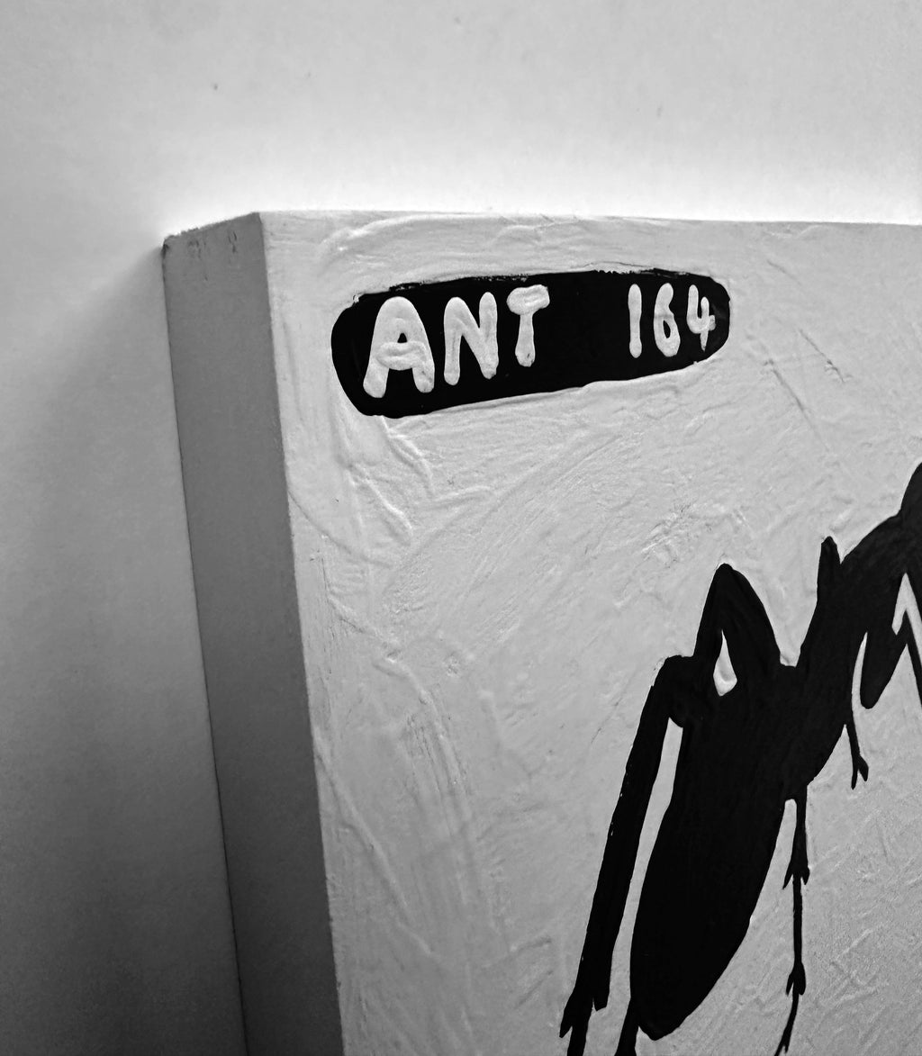 Ant #164
