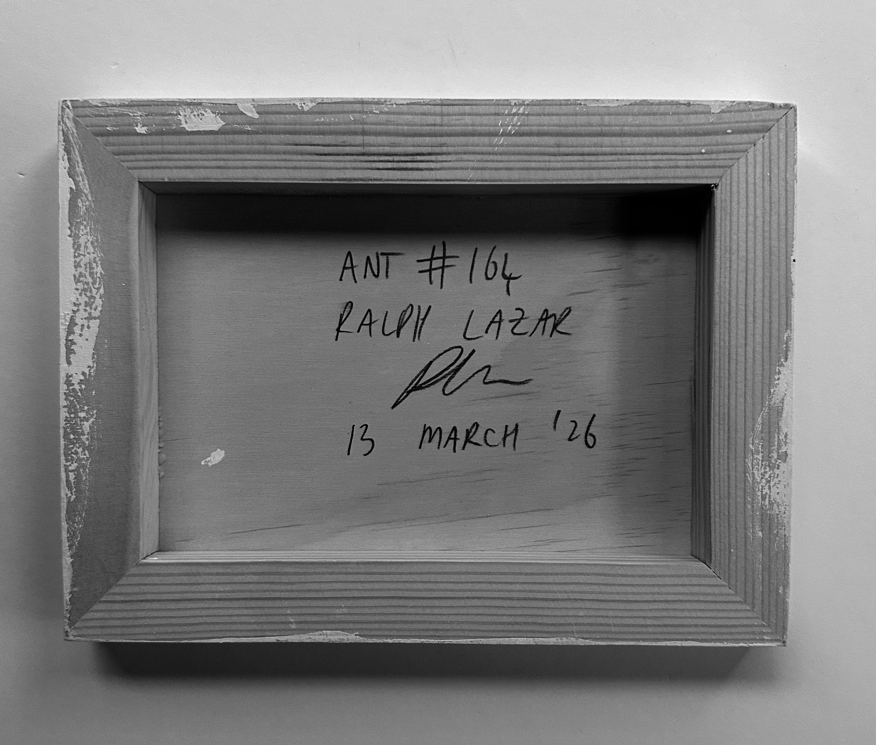 Ant #164