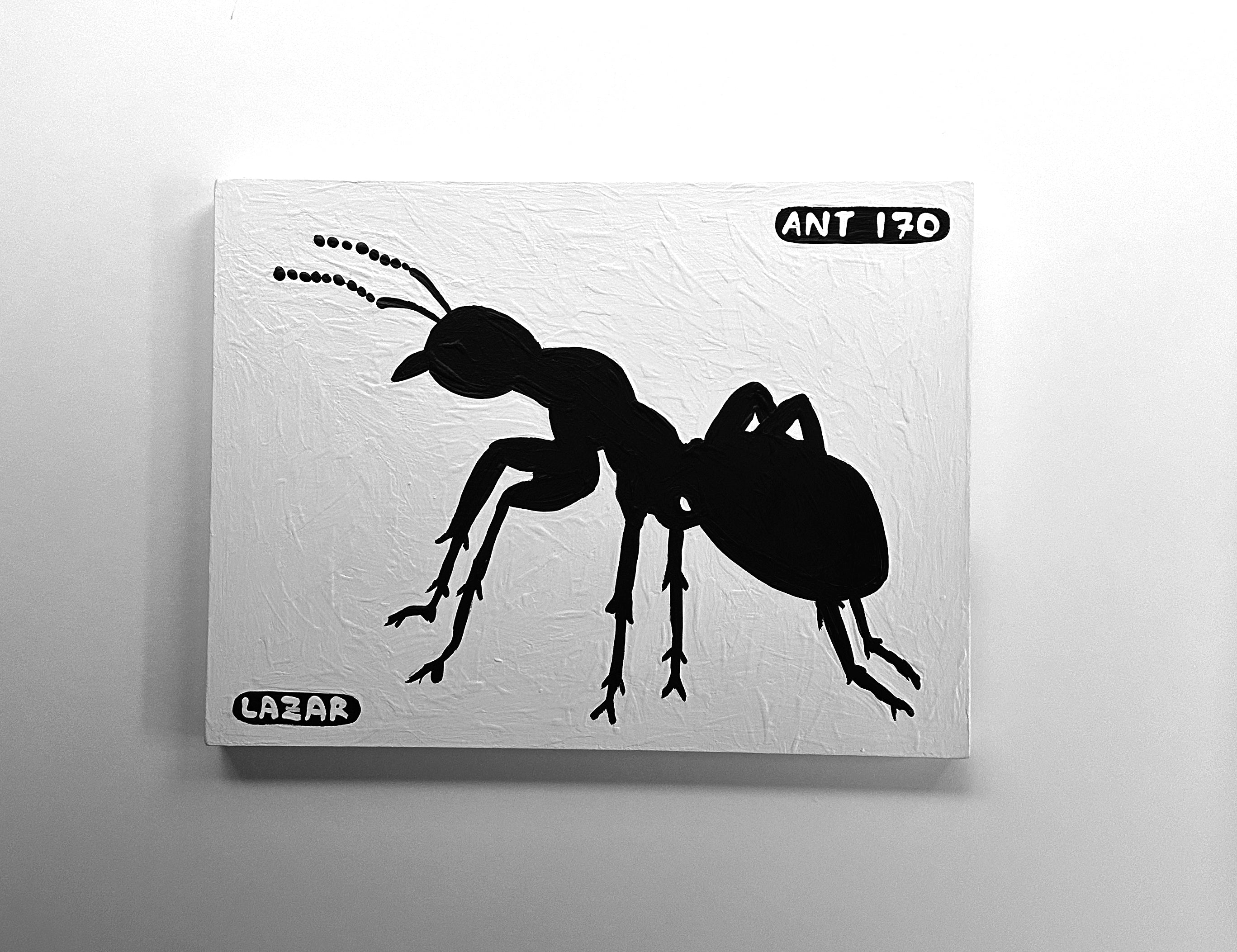 Ant #170