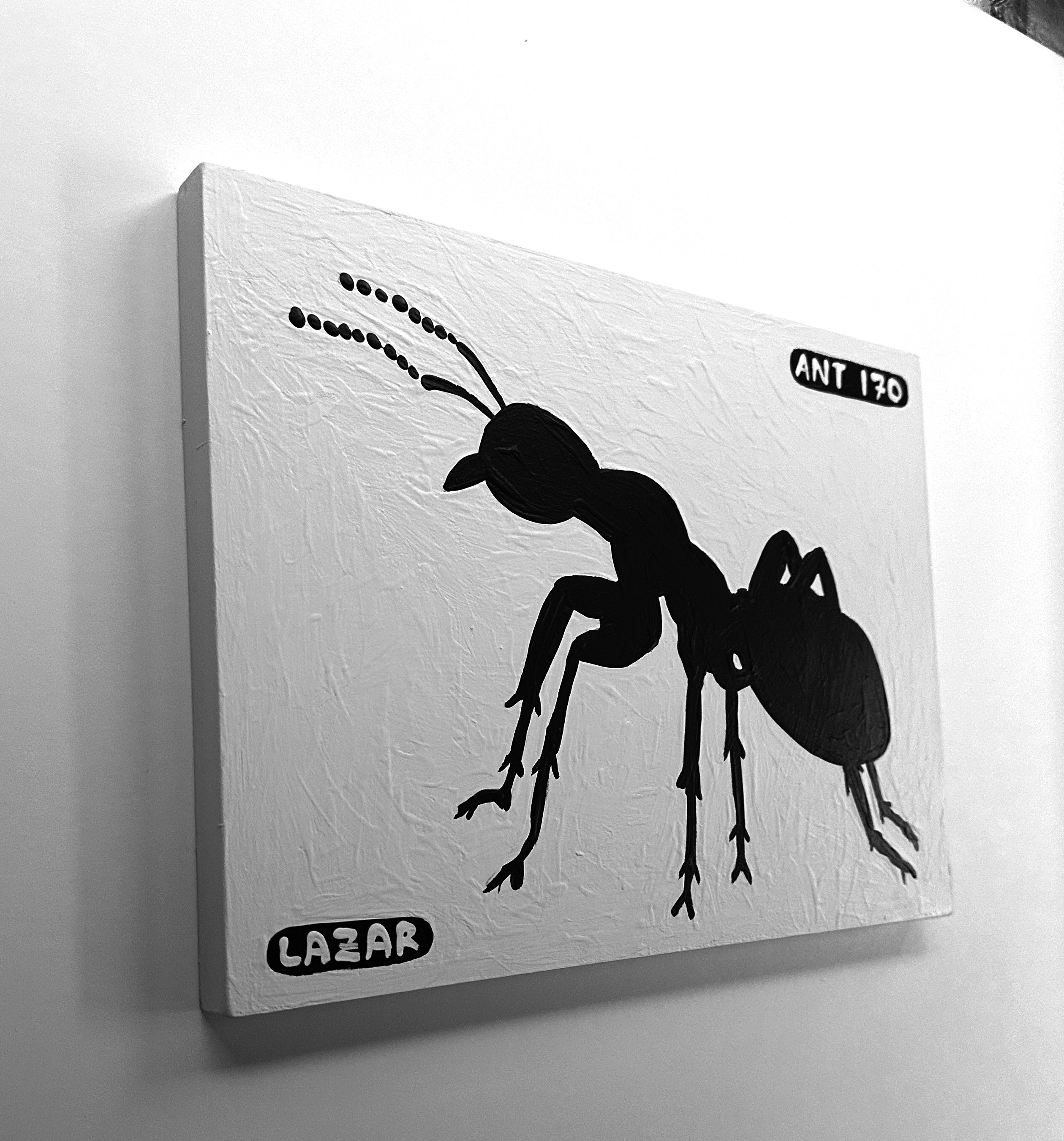 Ant #170