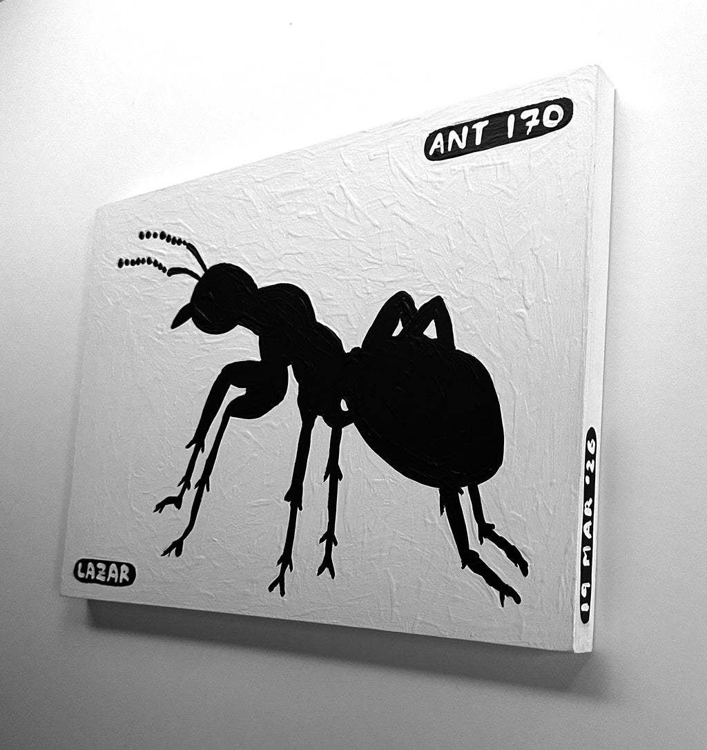 Ant #170