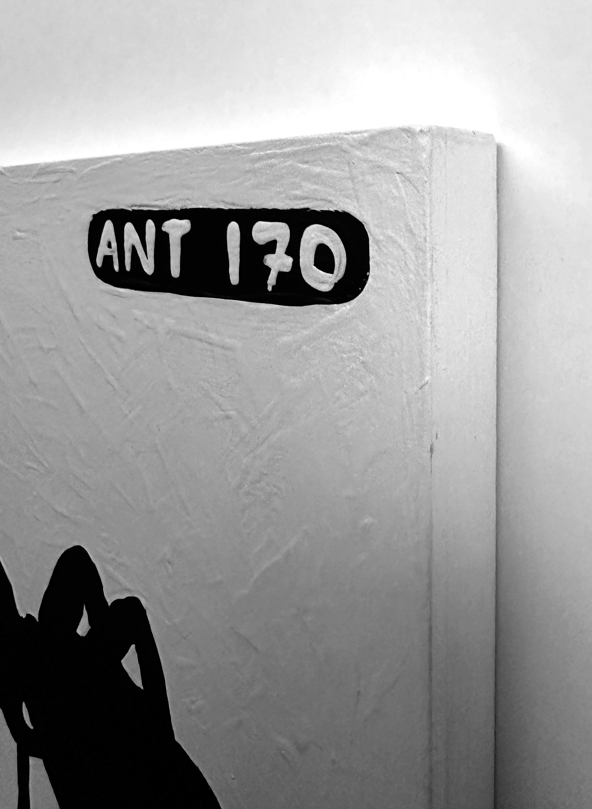 Ant #170