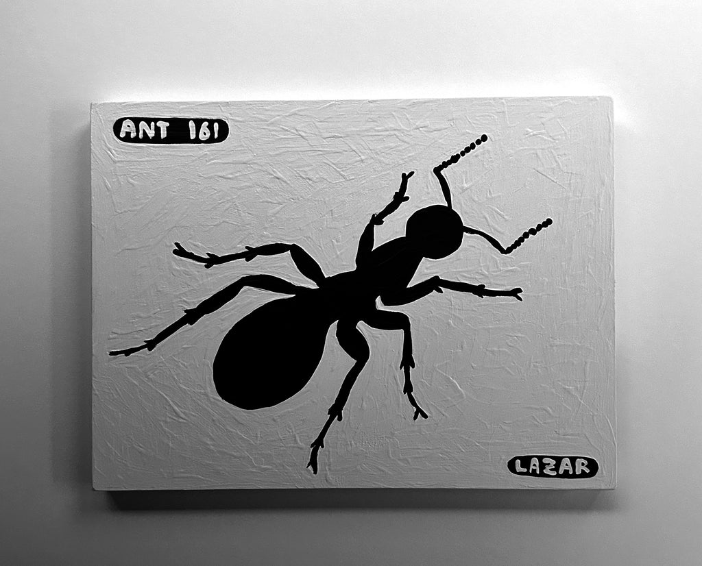 Ant #161