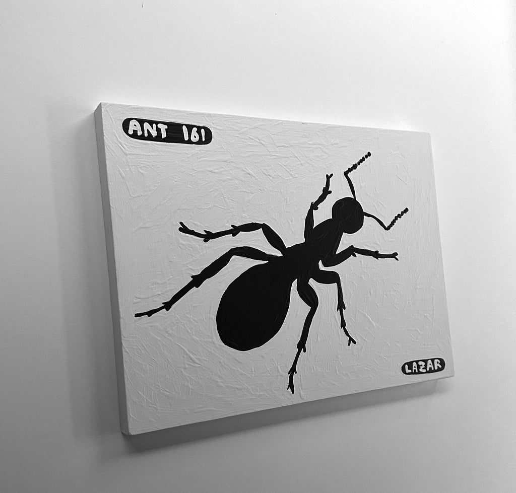Ant #161