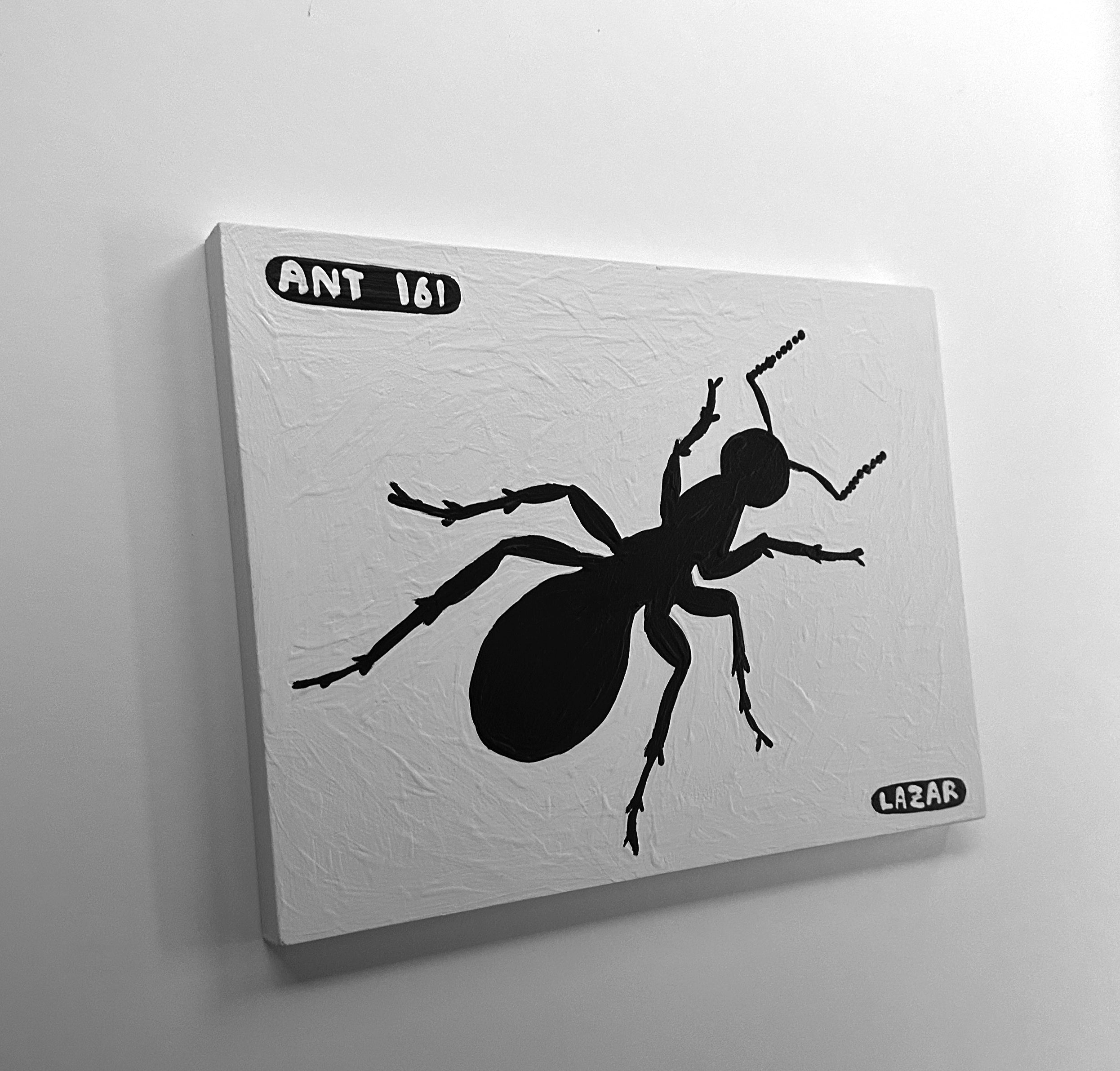 Ant #161