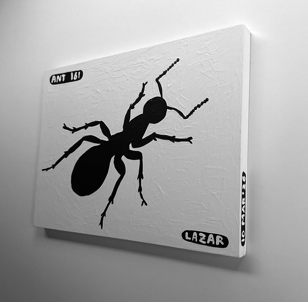 Ant #161
