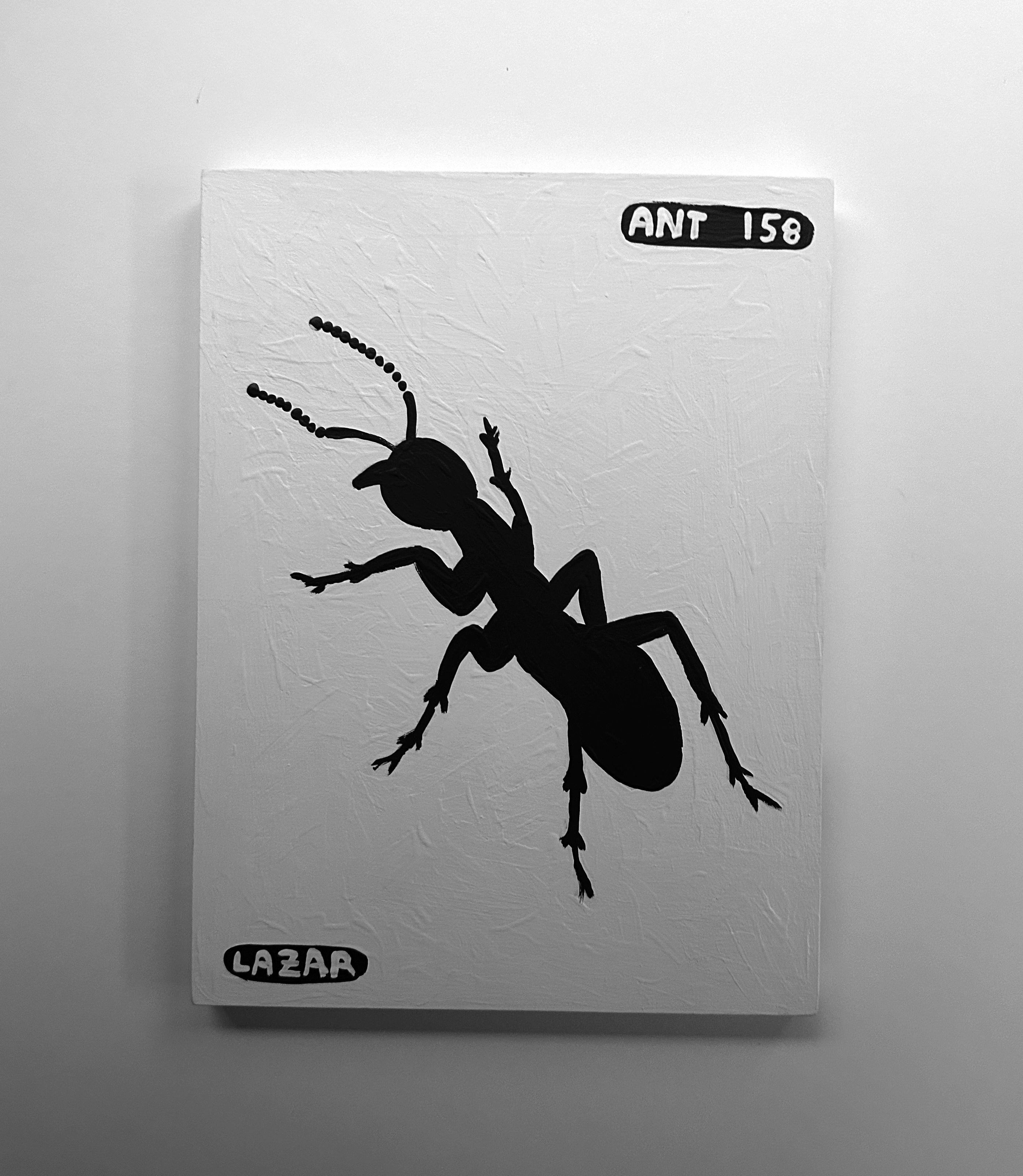 Ant #158