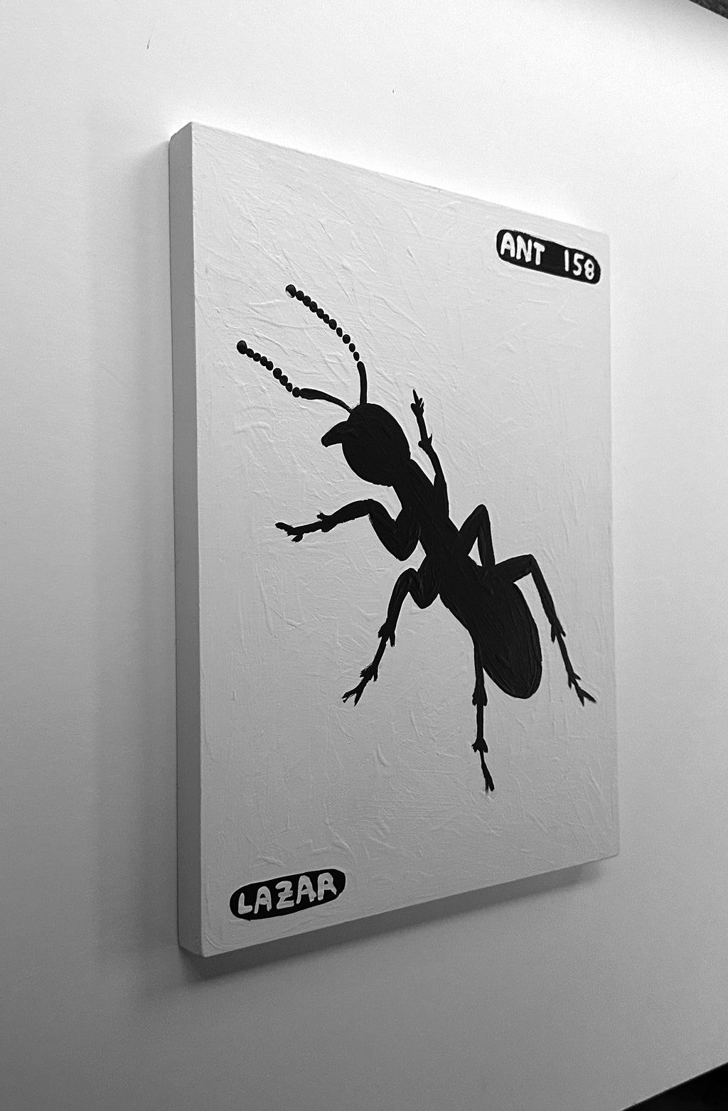 Ant #158