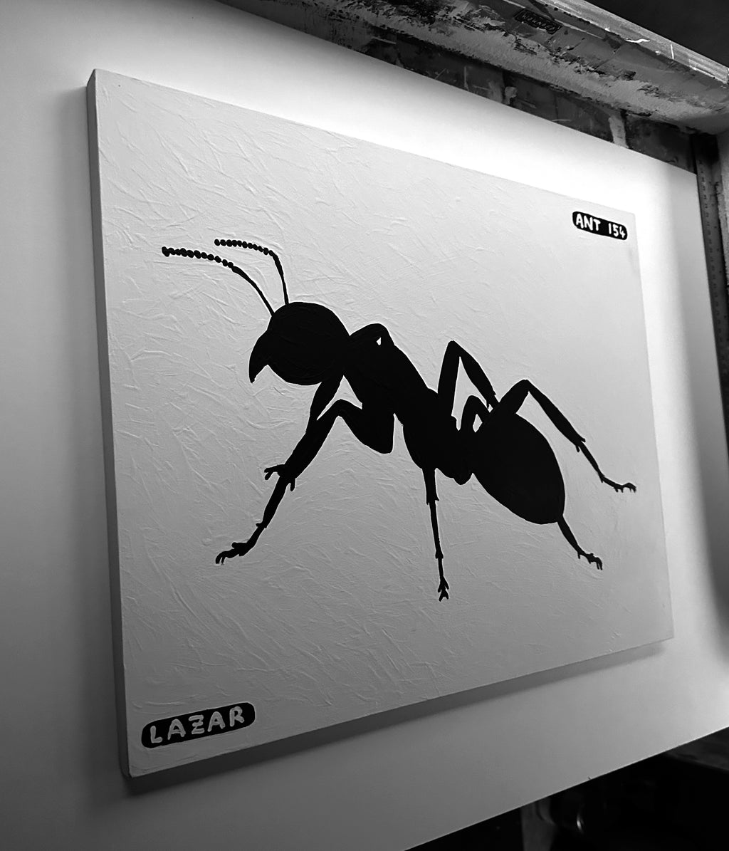 Ant #154