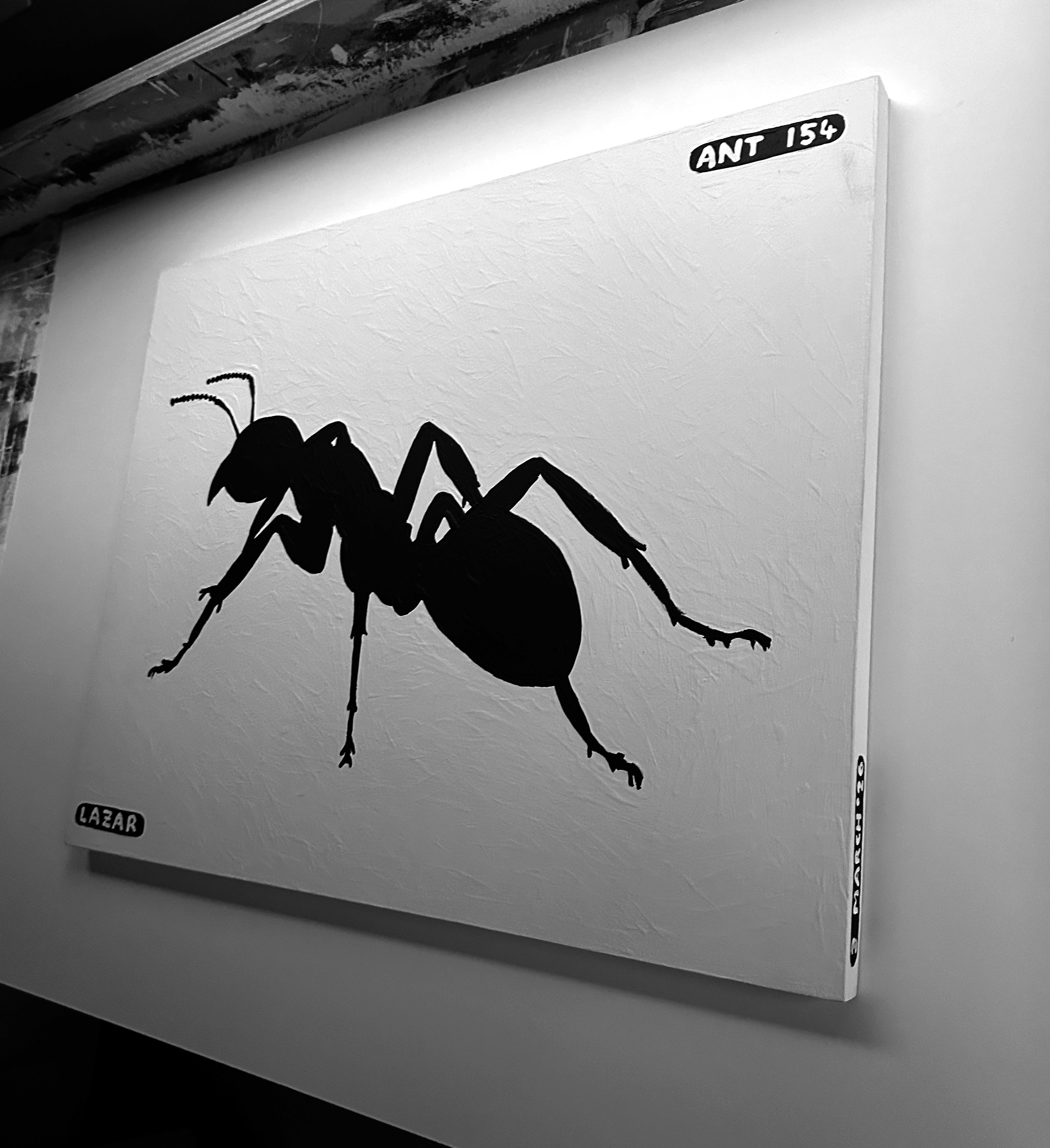 Ant #154