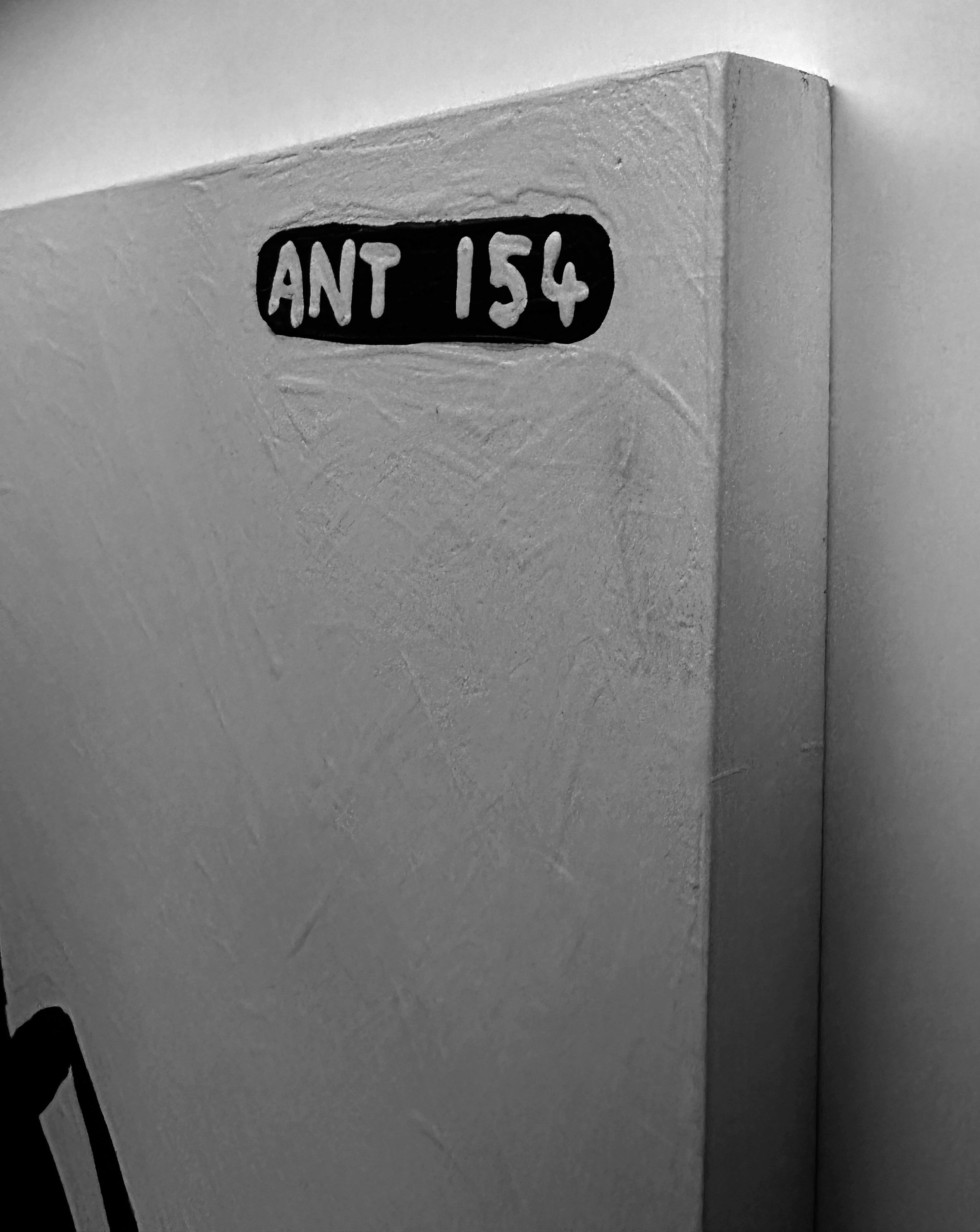Ant #154