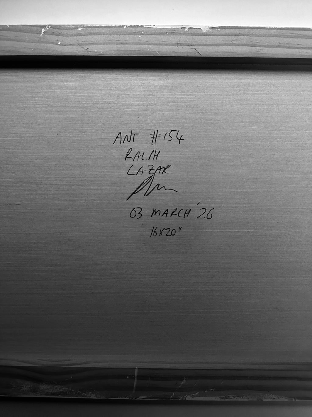 Ant #154