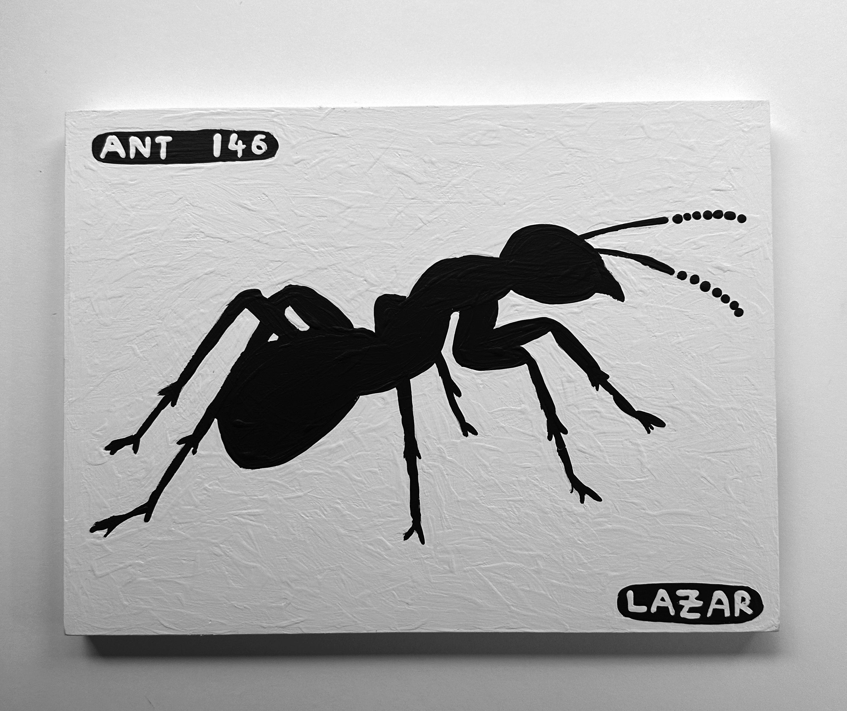 Ant #146